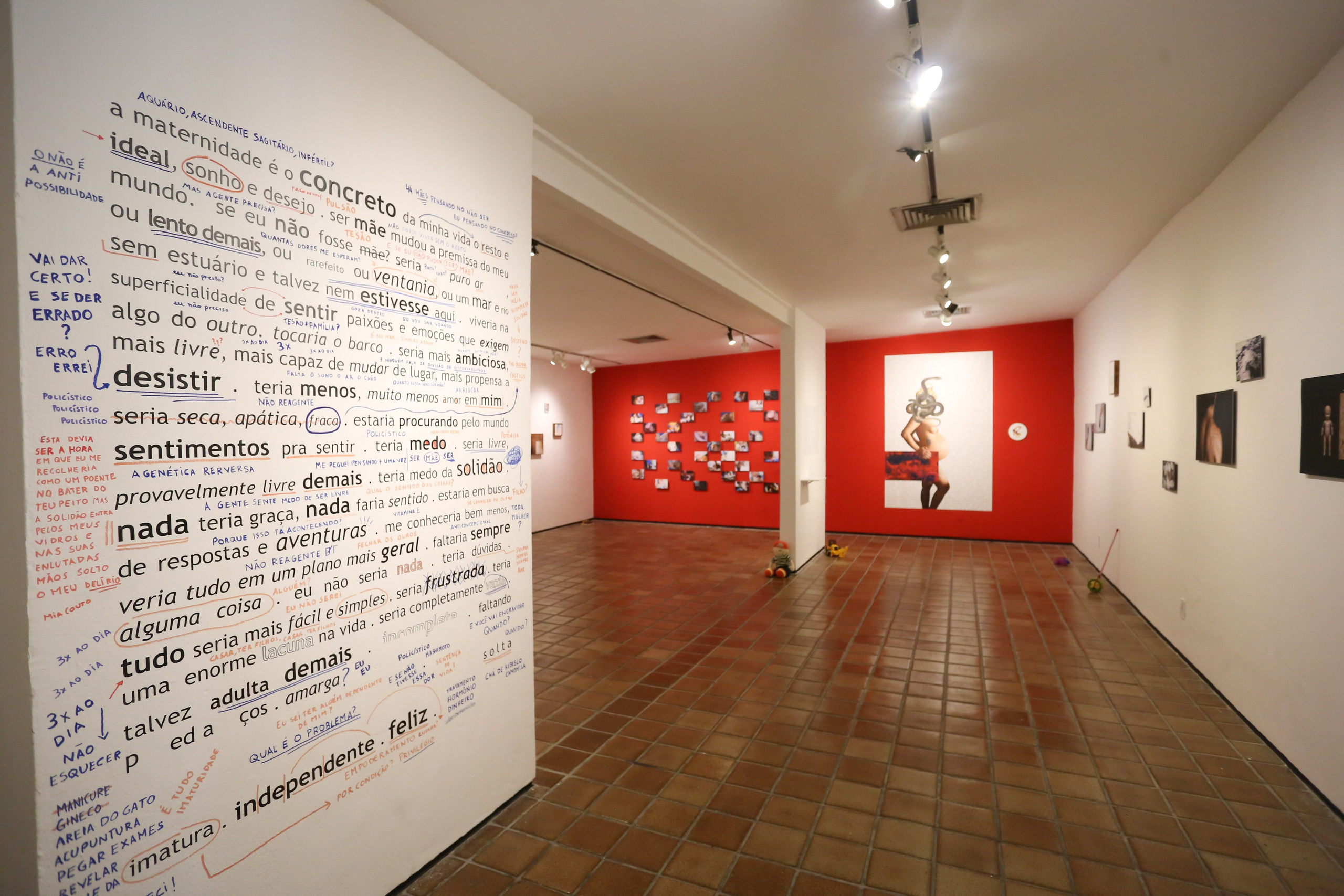 CV. Curator, editor, researcher, and educator in Latin American photography Maíra C. Gamarra