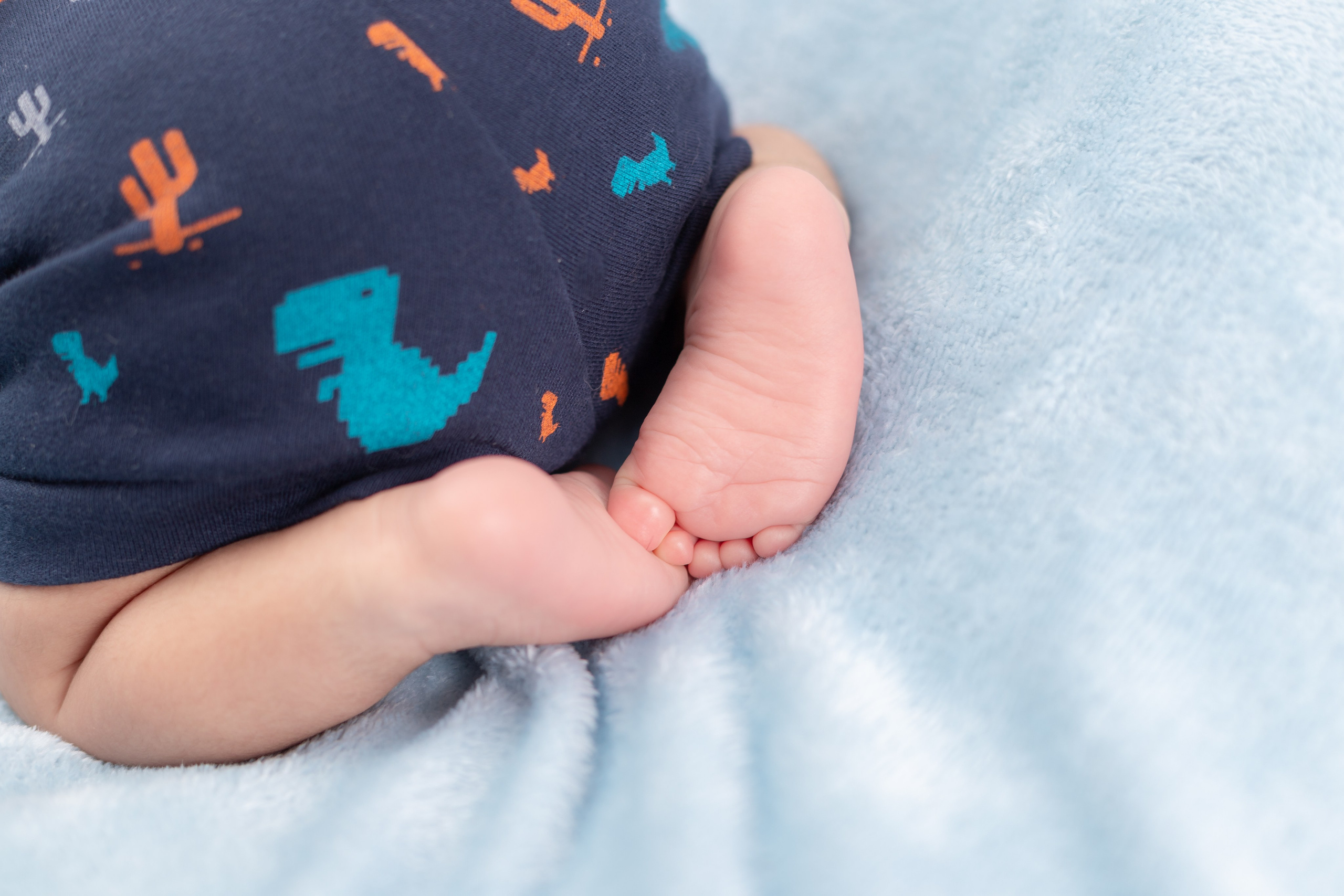 Portfólio de Fotografia | Carlos Freitas