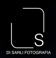 studiodisarli.com.br