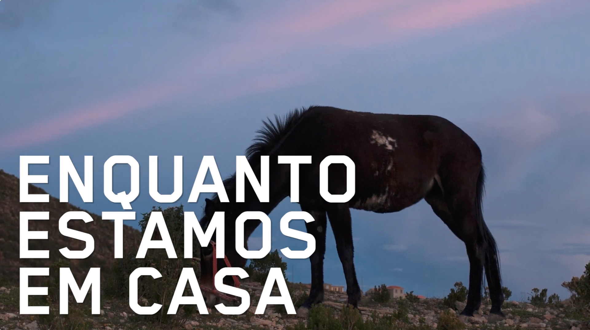 Talks & Lectures. Curator, editor, researcher, and educator in Latin American photography Maíra C. Gamarra