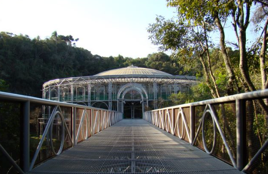 Os melhores lugares para fazer um ensaio pré-wedding em Curitiba e região. Will Reis fotografia — Fotógrafo em Curitiba