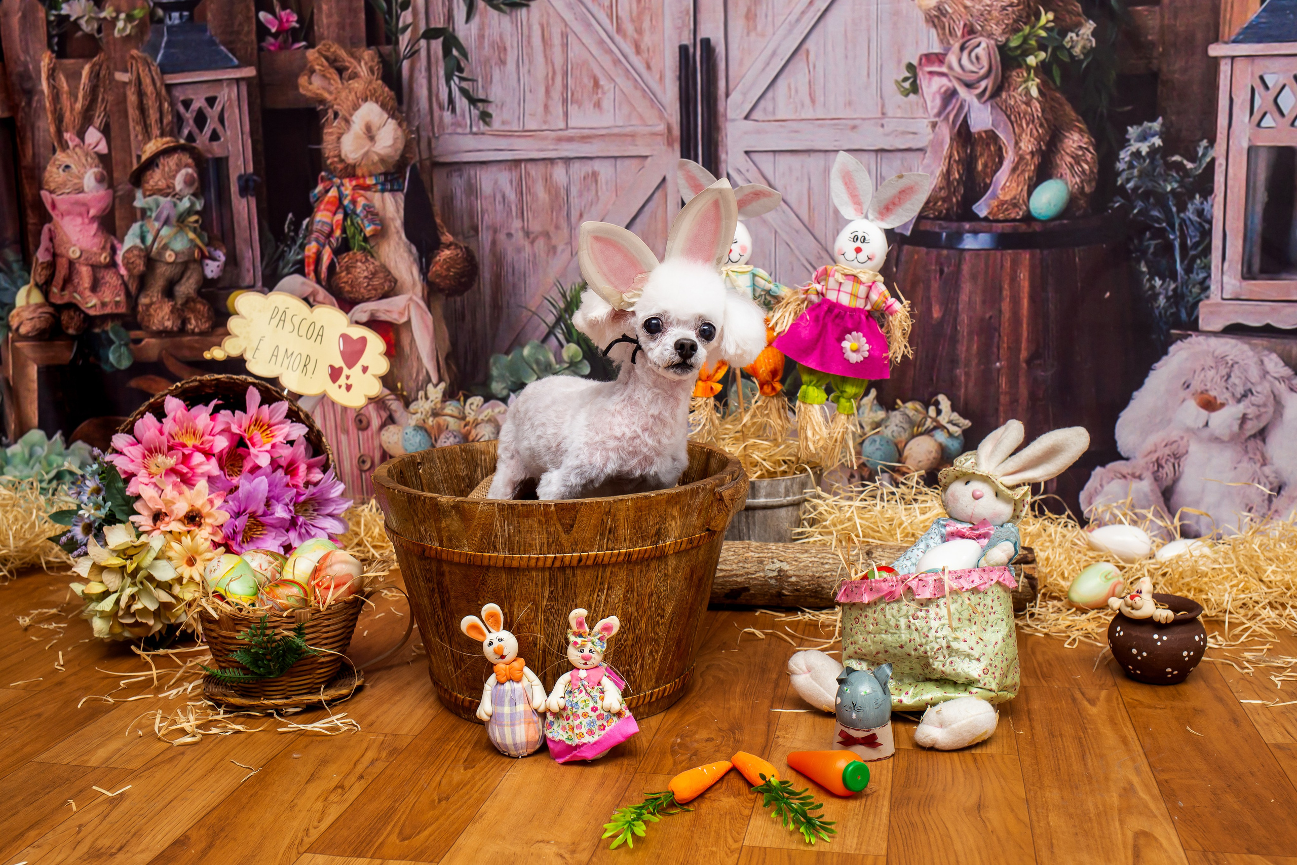 2023 — A doce Páscoa dos Pets. Fotografia Pet — estúdio, eventos, aniversários, ensaios temáticos