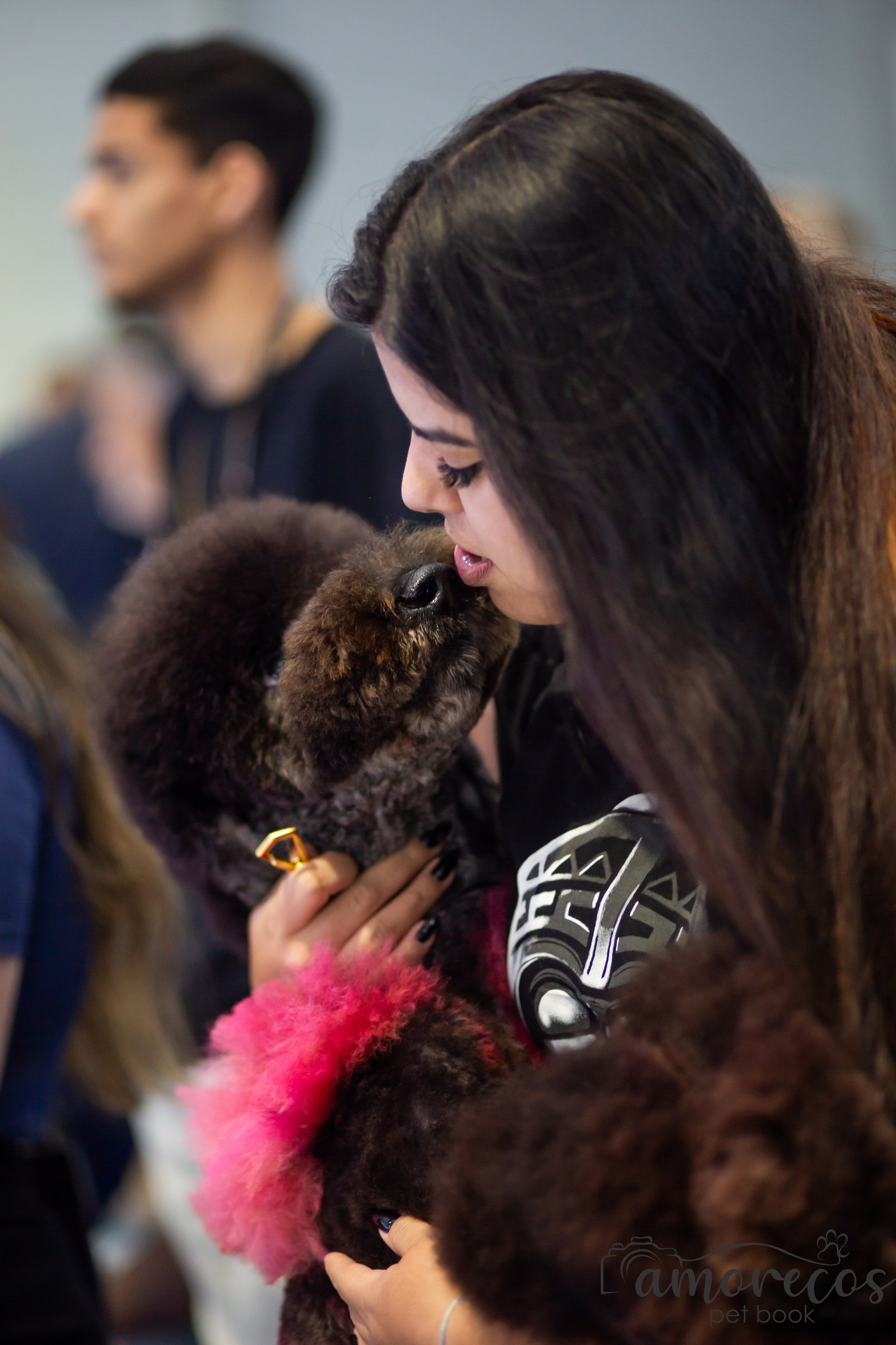Feira Pet Sul 2025 — São José/SC. Fotografia Pet — estúdio, eventos, aniversários, ensaios temáticos