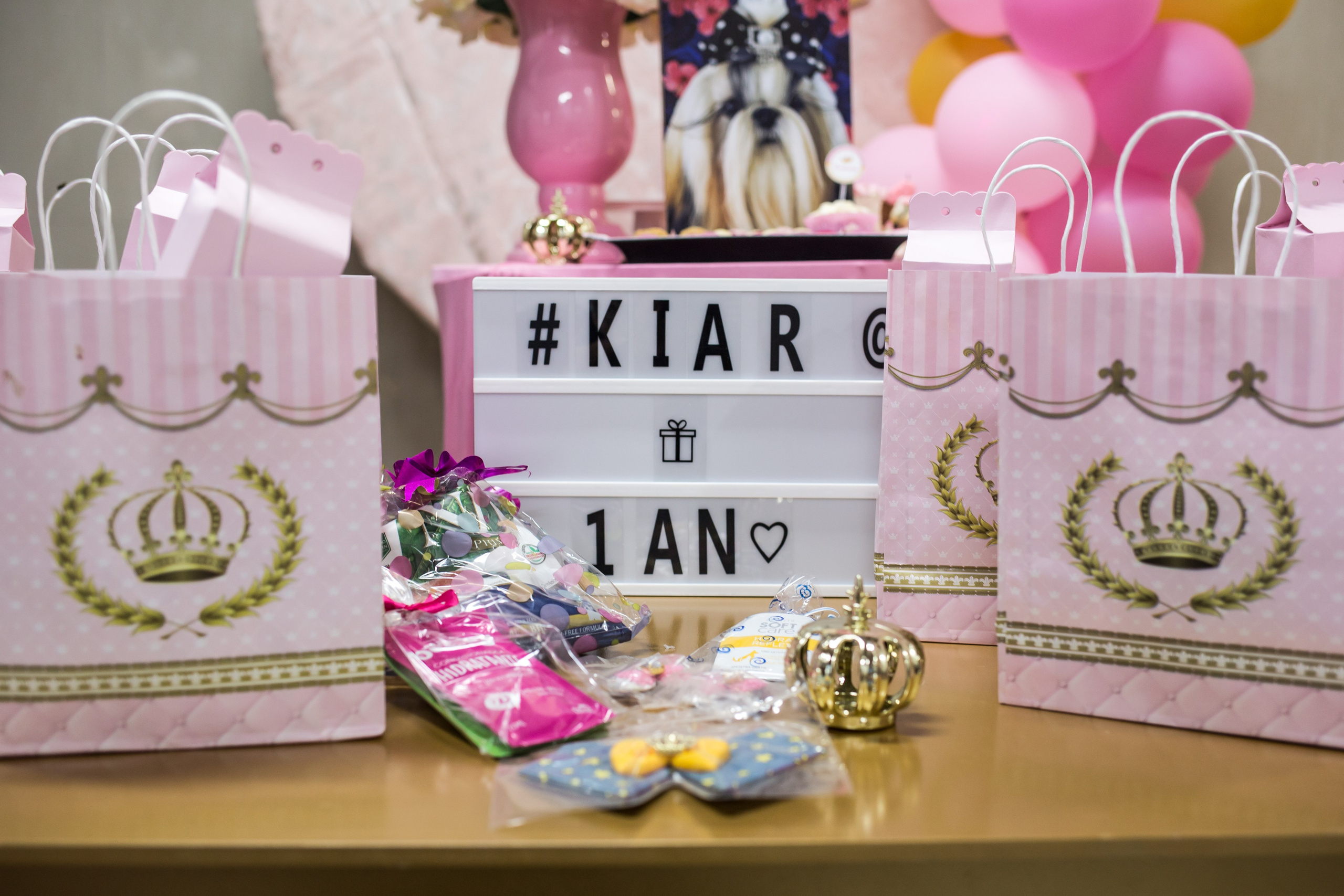 Kiara — 1 aninho. Fotografia Pet — estúdio, eventos, aniversários, ensaios temáticos