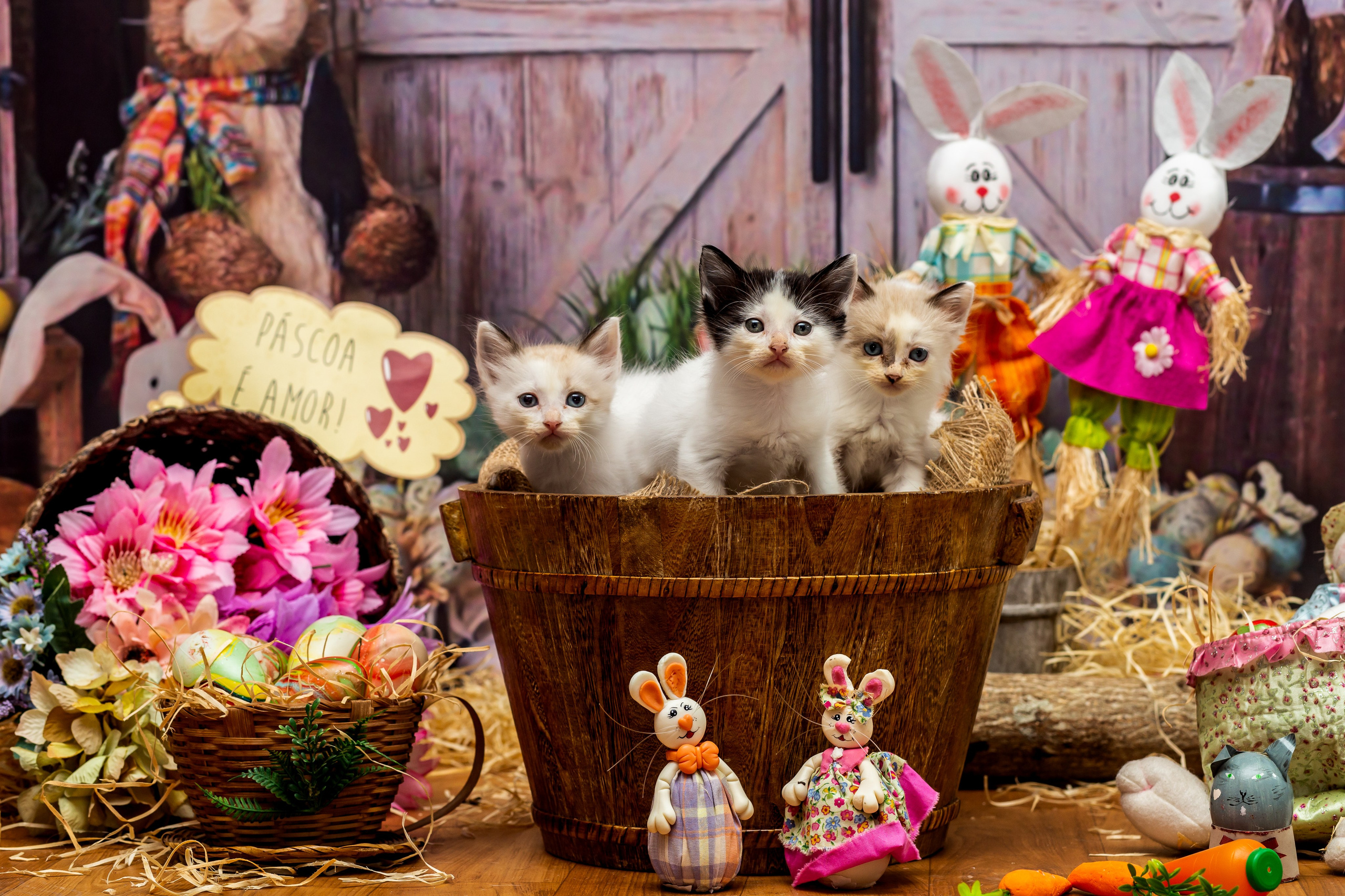 2023 — A doce Páscoa dos Pets. Fotografia Pet — estúdio, eventos, aniversários, ensaios temáticos