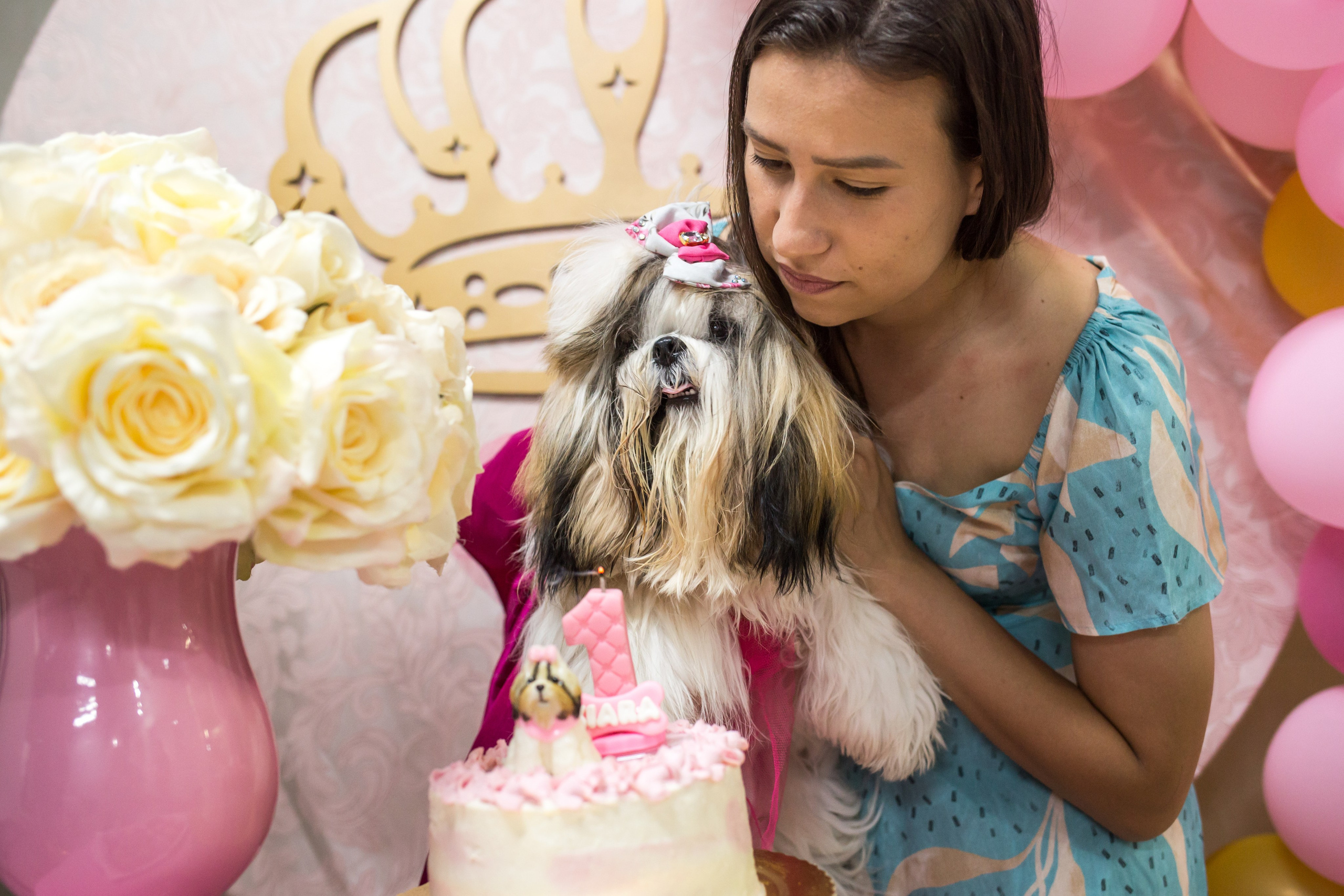 Kiara — 1 aninho. Fotografia Pet — estúdio, eventos, aniversários, ensaios temáticos