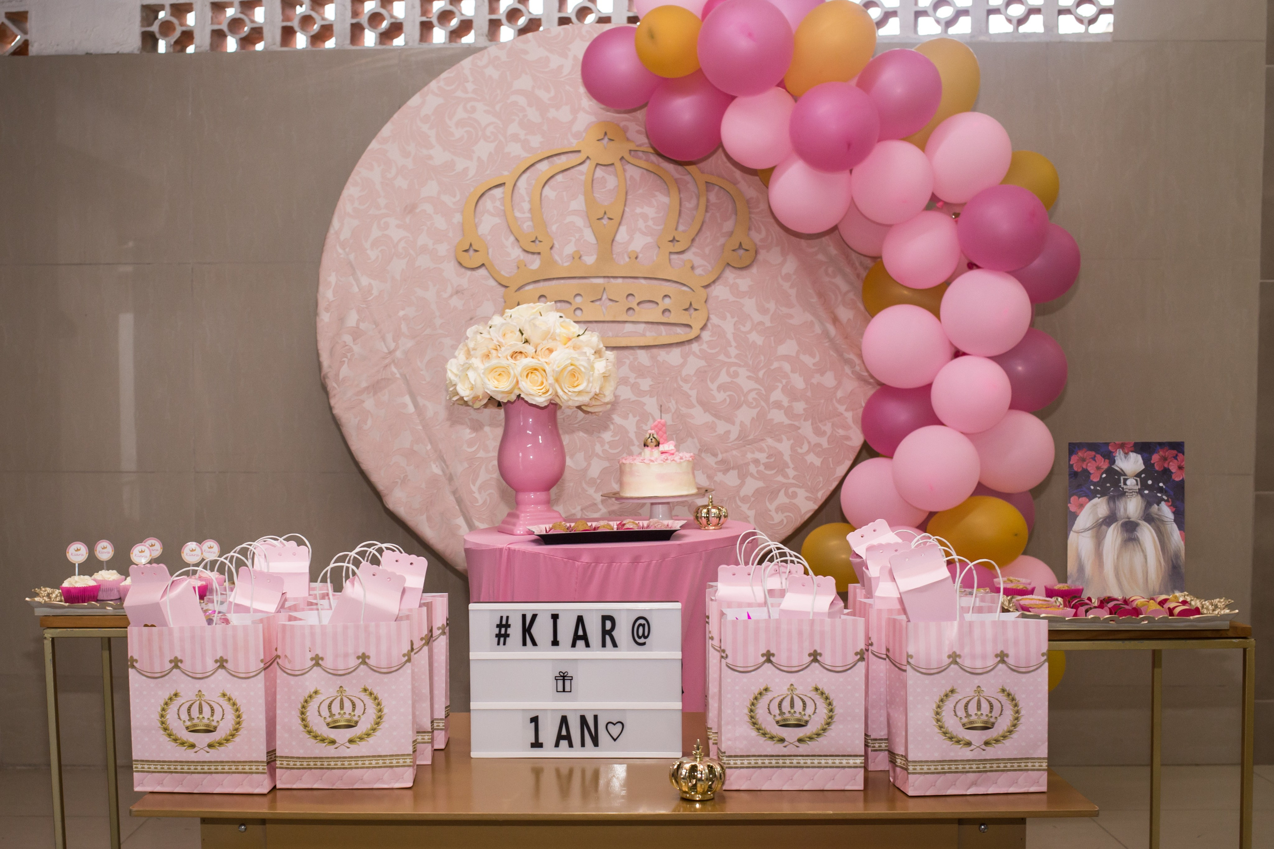 Kiara — 1 aninho. Fotografia Pet — estúdio, eventos, aniversários, ensaios temáticos