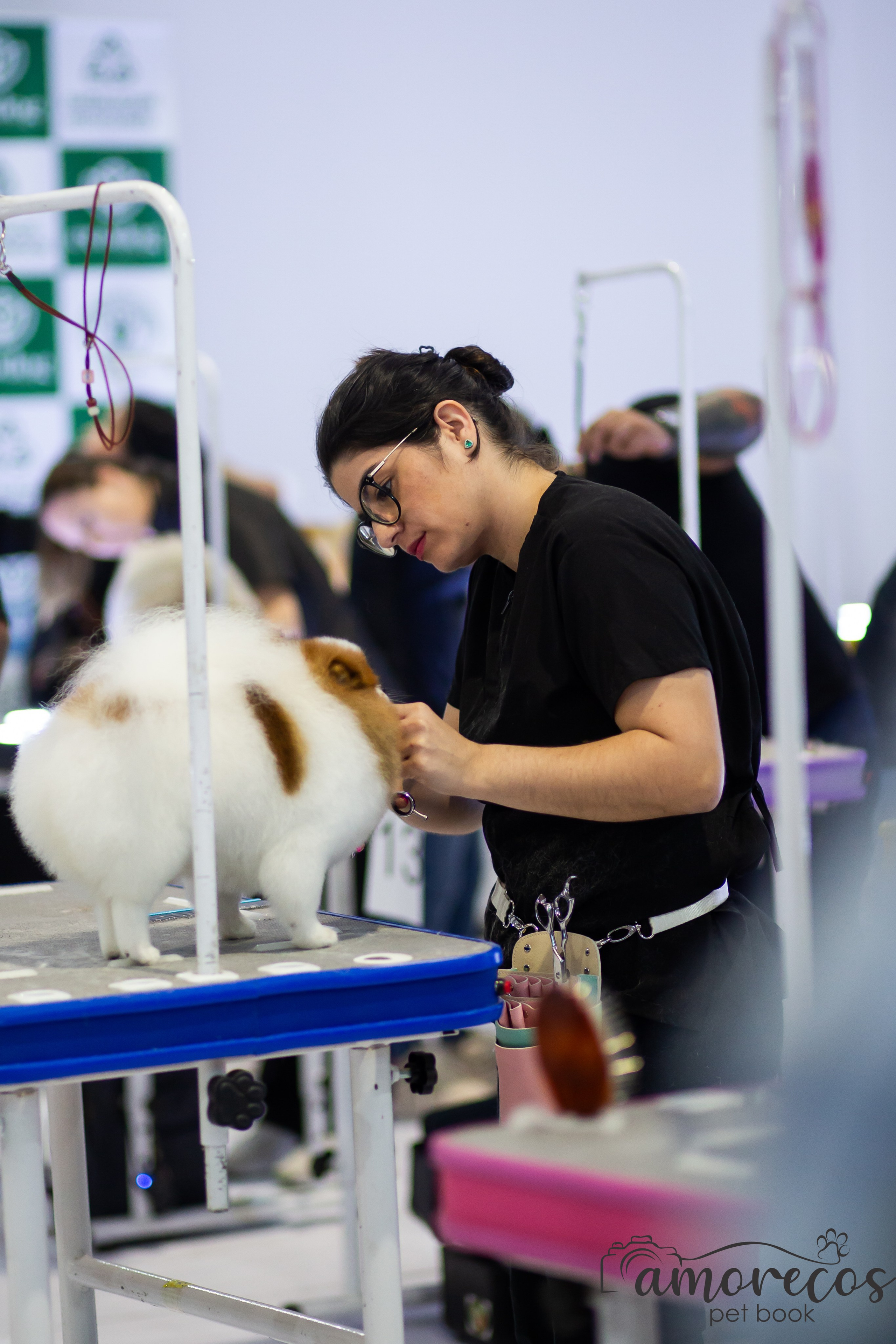 Feira Pet Sul 2025 — São José/SC. Fotografia Pet — estúdio, eventos, aniversários, ensaios temáticos