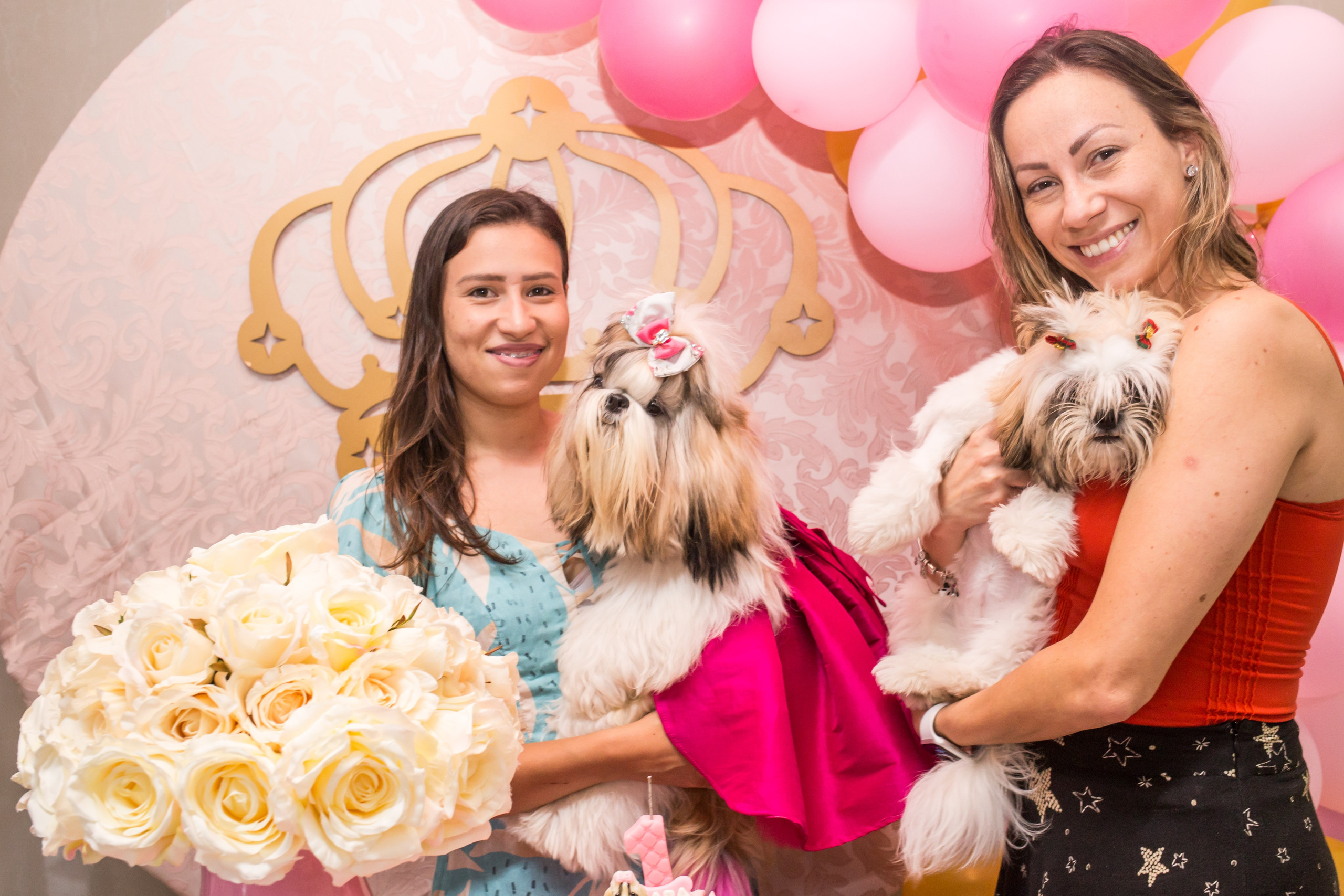 Kiara — 1 aninho. Fotografia Pet — estúdio, eventos, aniversários, ensaios temáticos