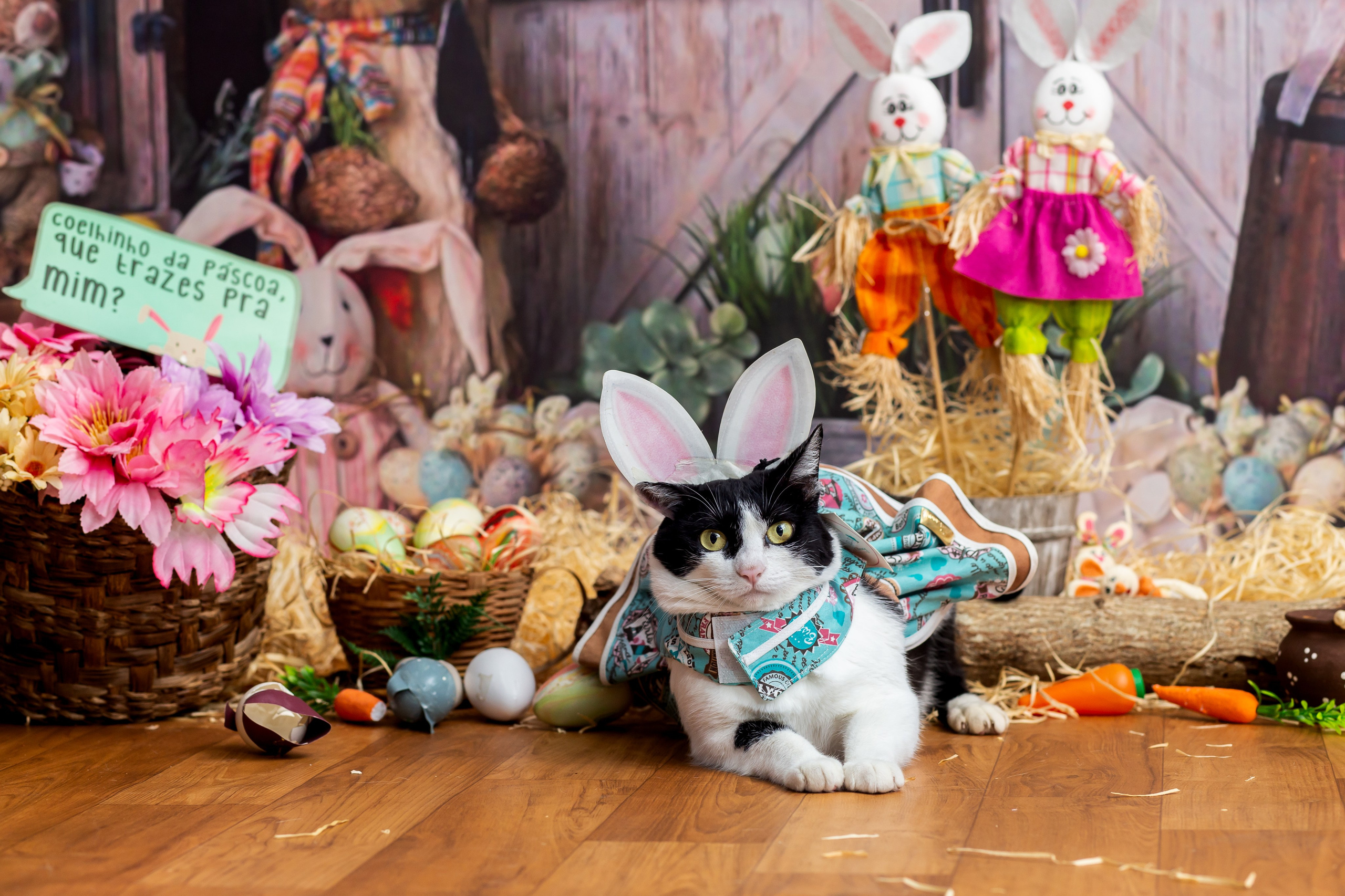 2023 — A doce Páscoa dos Pets. Fotografia Pet — estúdio, eventos, aniversários, ensaios temáticos