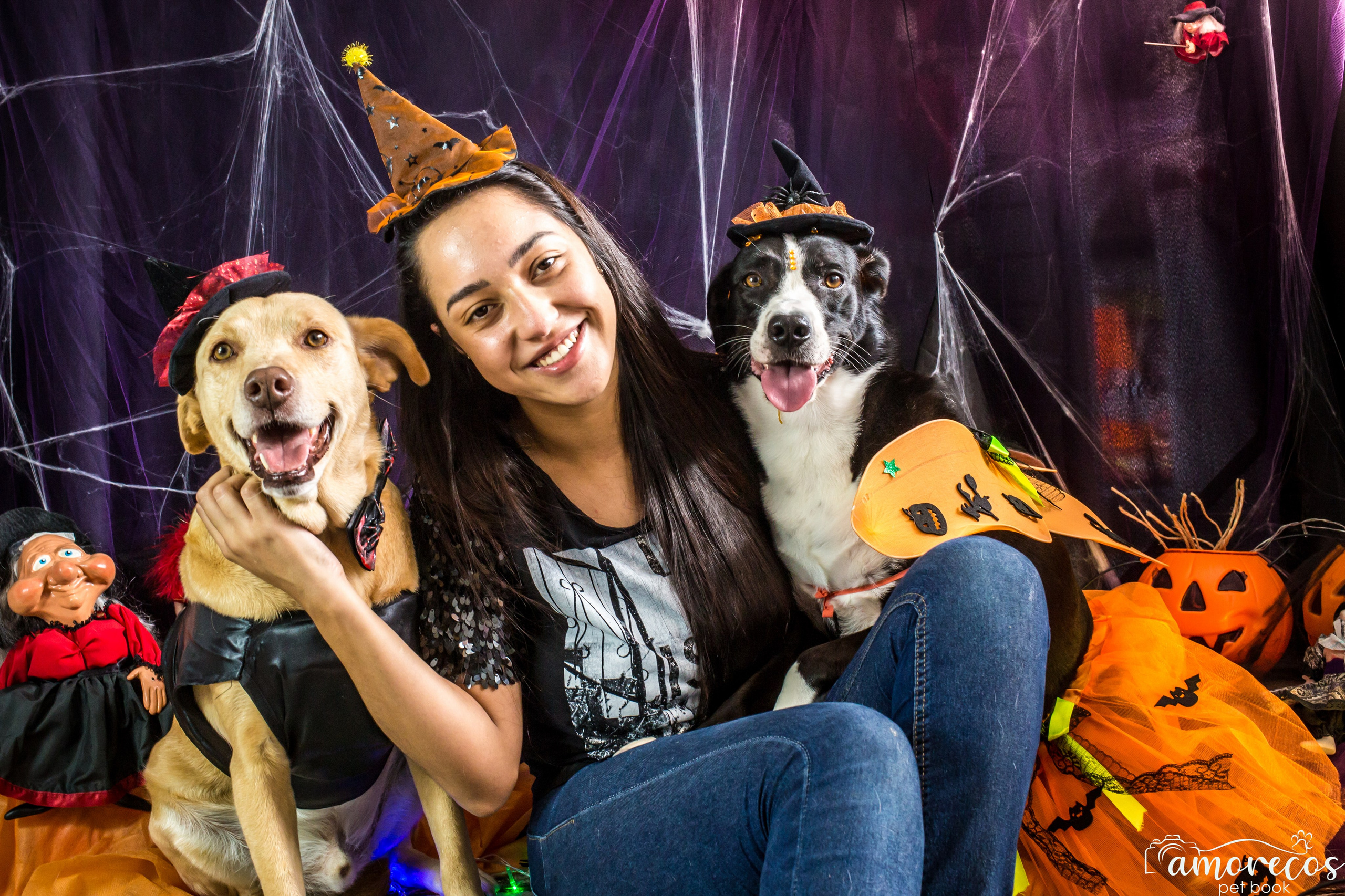 Hallowen — 2020 Doces ou travessuras. Fotografia Pet — estúdio, eventos, aniversários, ensaios temáticos