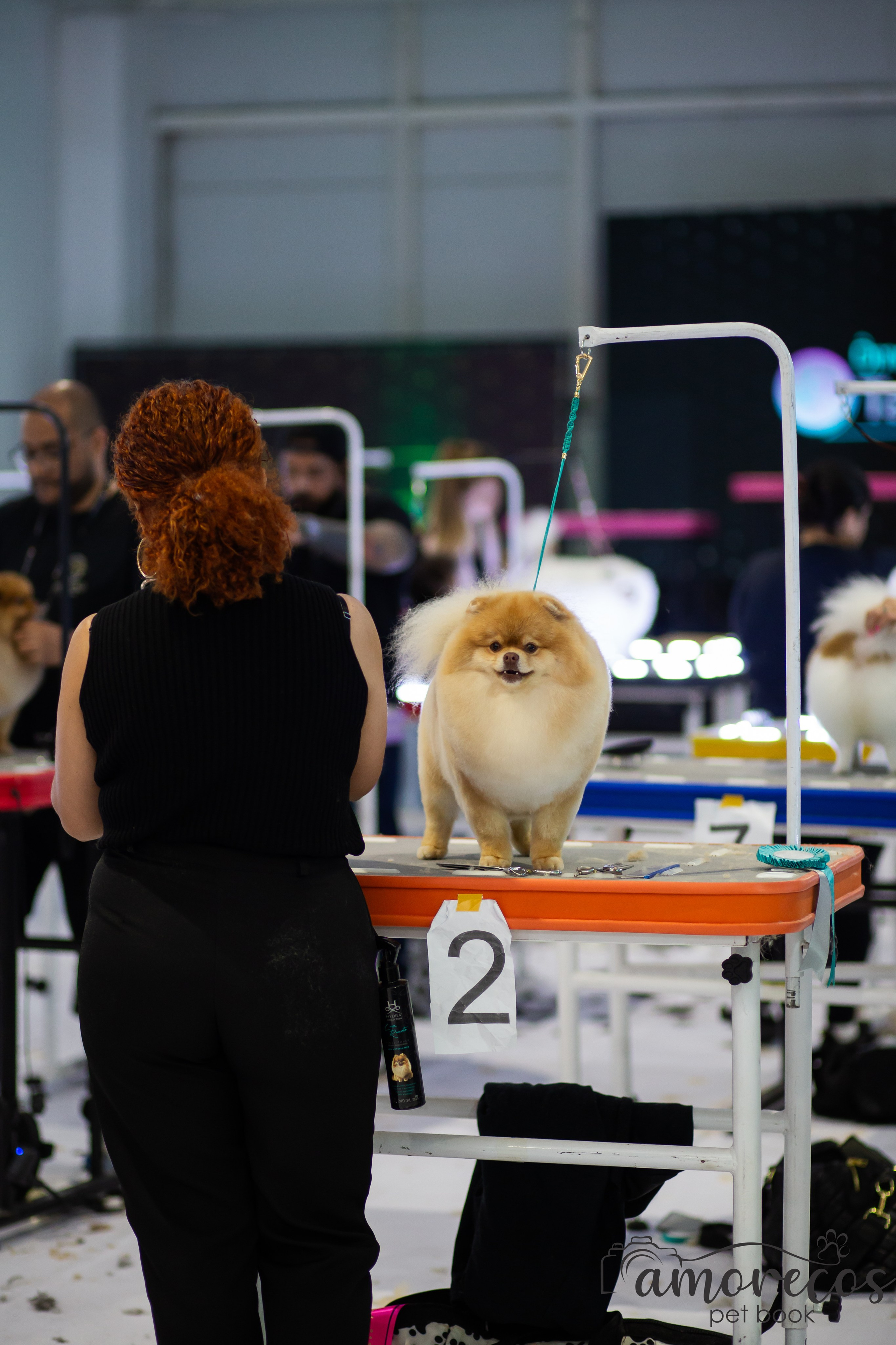 Feira Pet Sul 2025 — São José/SC. Fotografia Pet — estúdio, eventos, aniversários, ensaios temáticos