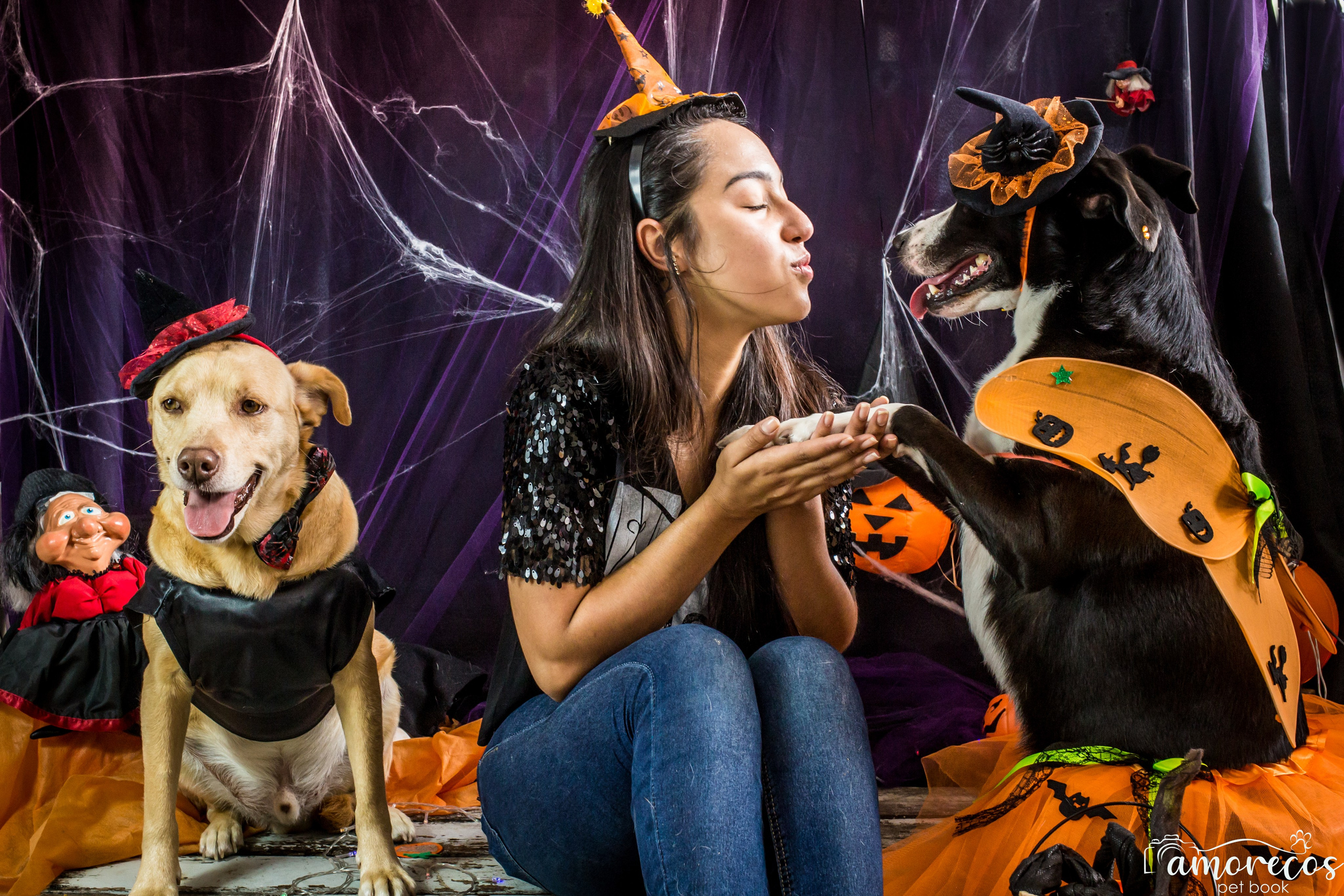 Hallowen — 2020 Doces ou travessuras. Fotografia Pet — estúdio, eventos, aniversários, ensaios temáticos