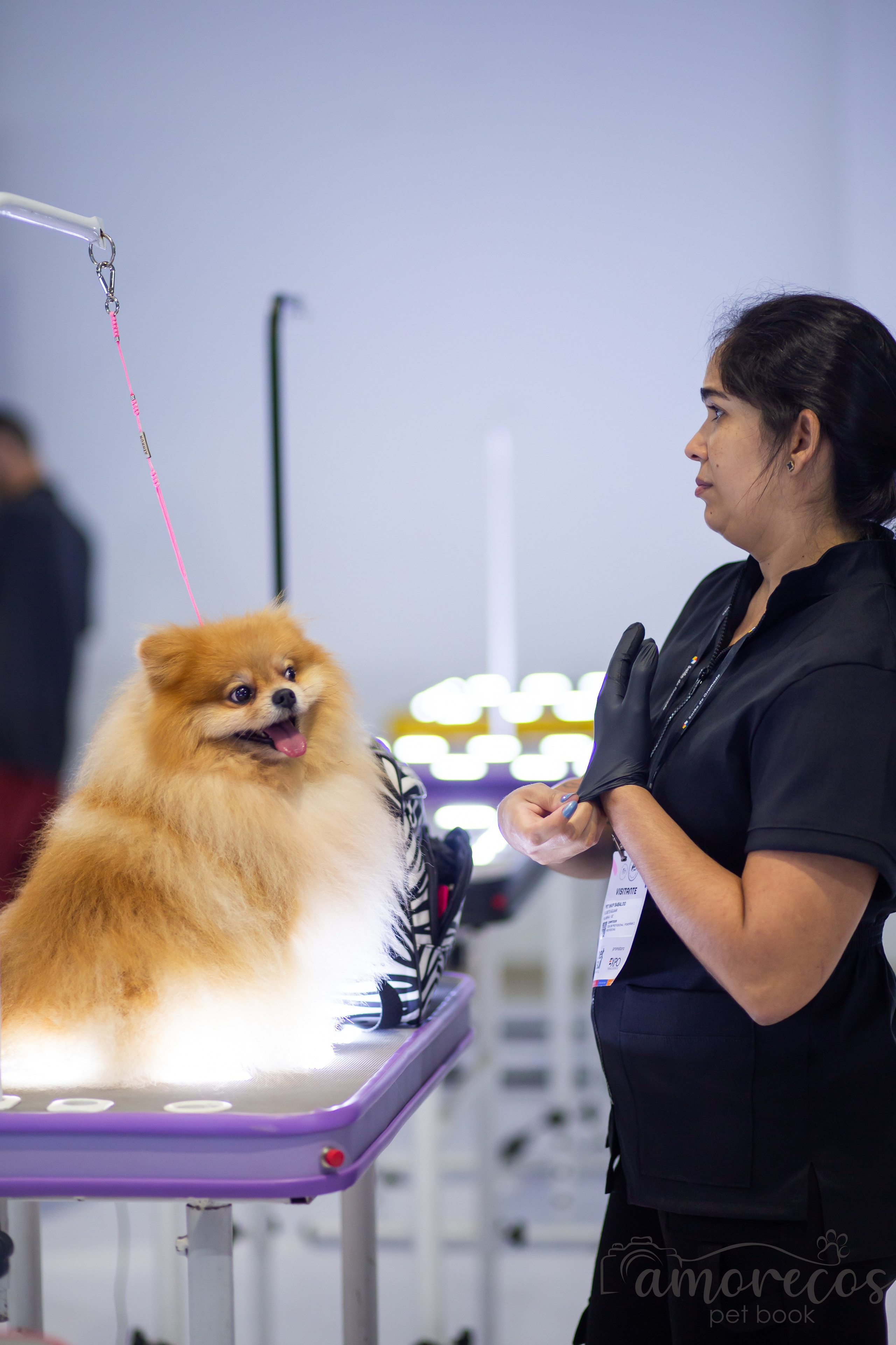 Feira Pet Sul 2025 — São José/SC. Fotografia Pet — estúdio, eventos, aniversários, ensaios temáticos