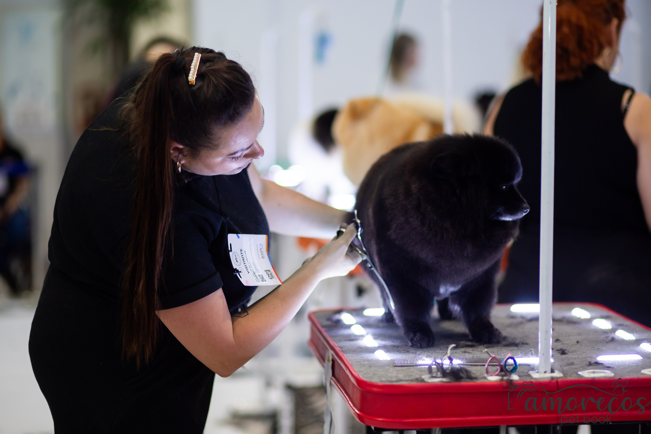 Feira Pet Sul 2025 — São José/SC. Fotografia Pet — estúdio, eventos, aniversários, ensaios temáticos