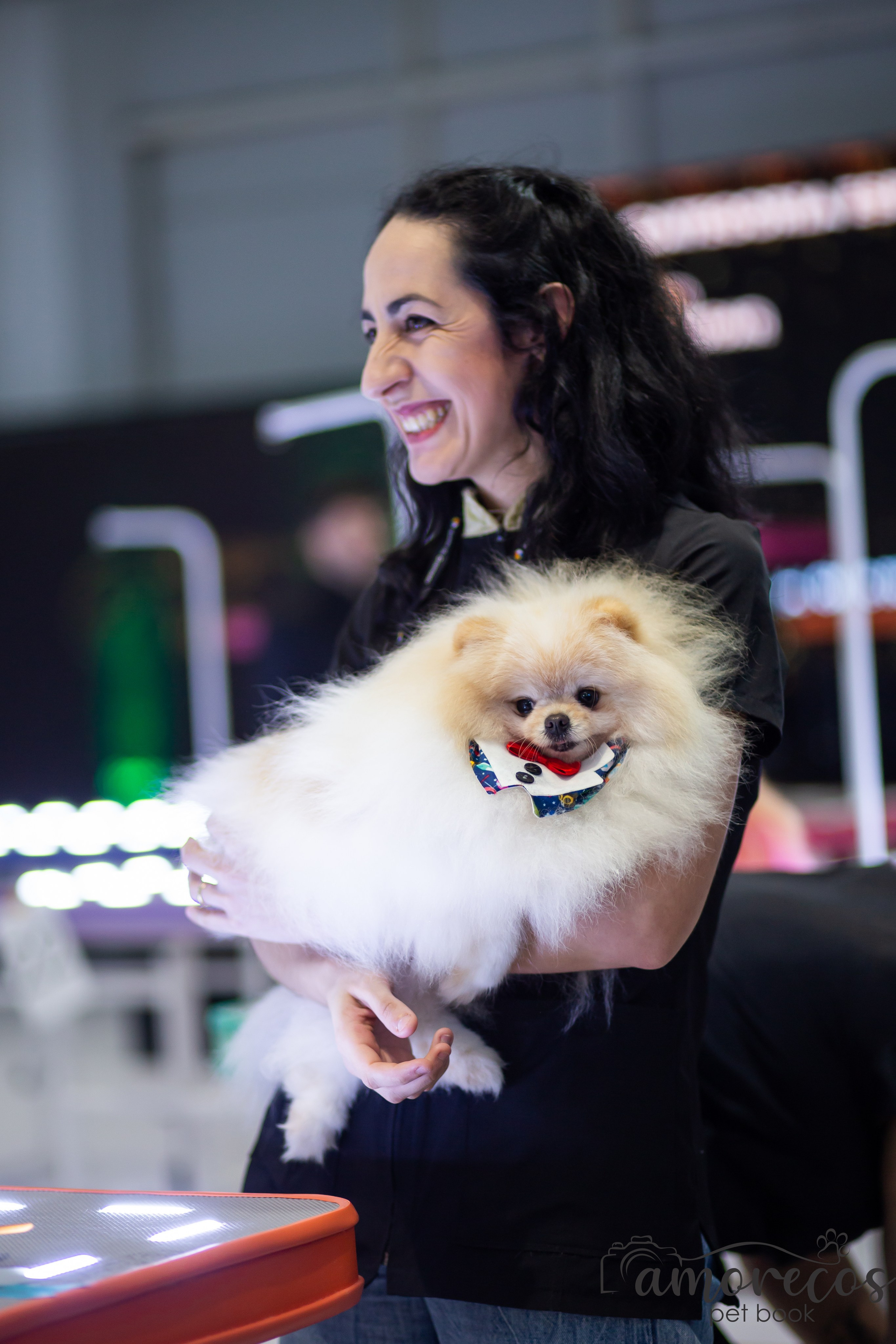 Feira Pet Sul 2025 — São José/SC. Fotografia Pet — estúdio, eventos, aniversários, ensaios temáticos