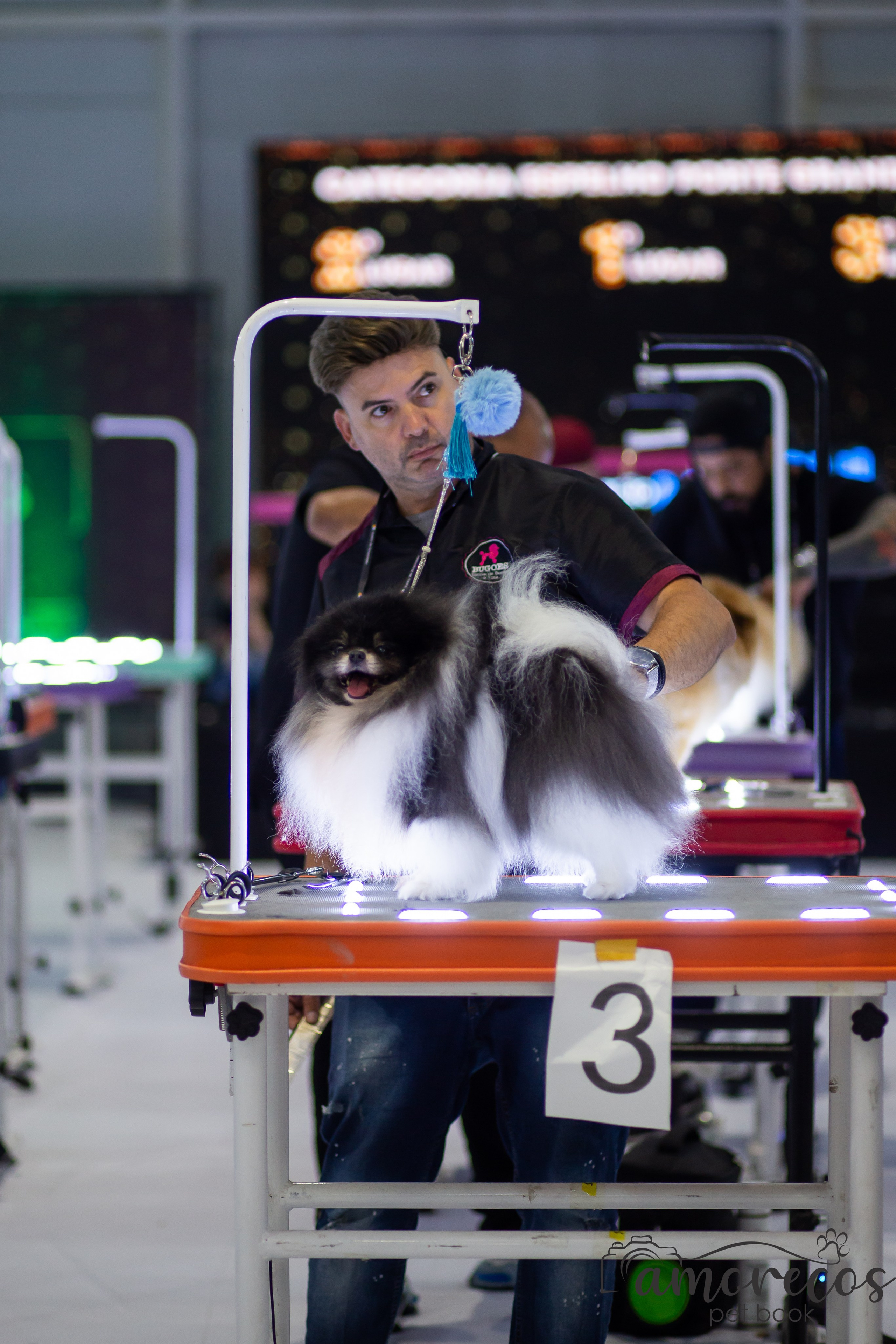Feira Pet Sul 2025 — São José/SC. Fotografia Pet — estúdio, eventos, aniversários, ensaios temáticos