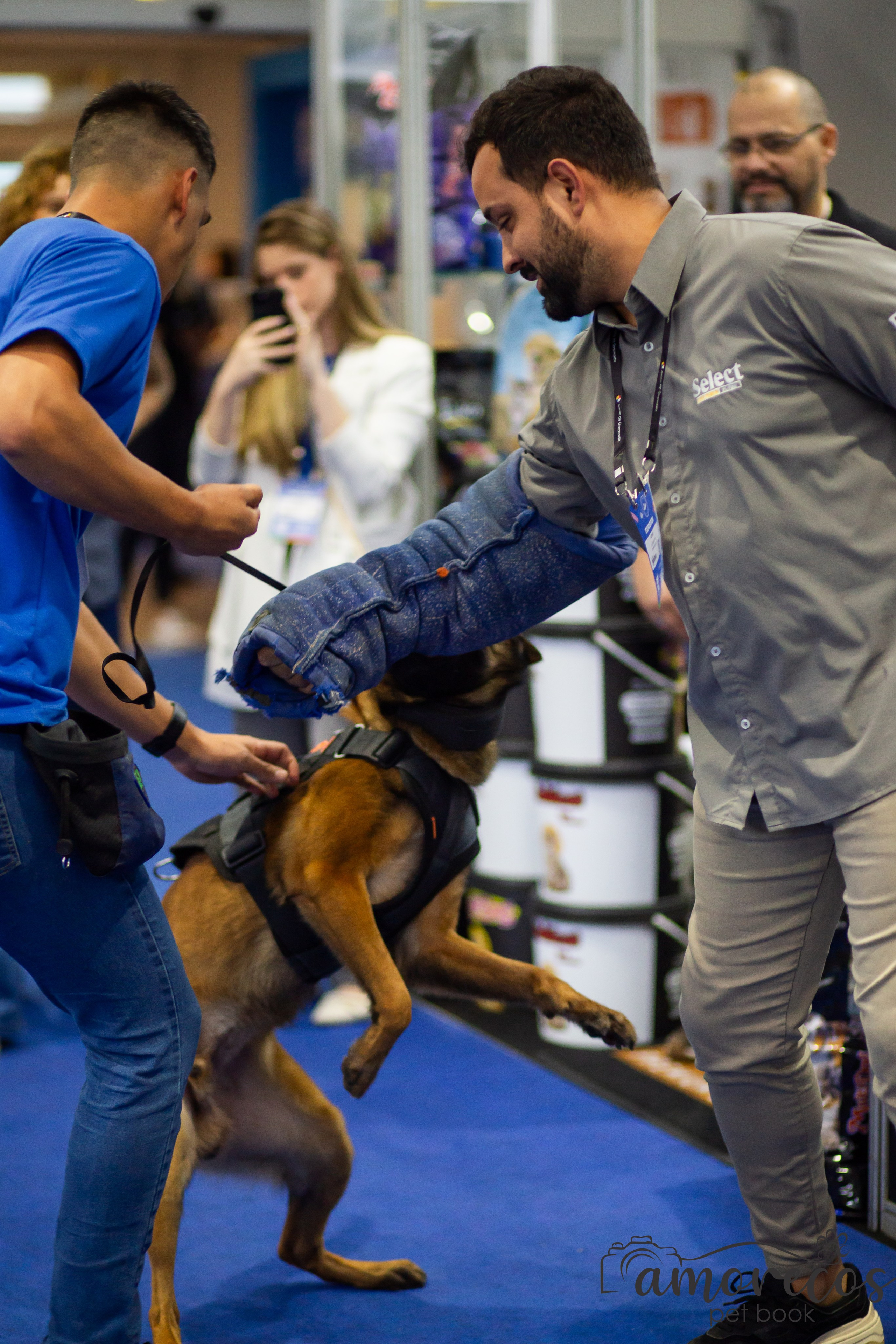 Feira Pet Sul 2025 — São José/SC. Fotografia Pet — estúdio, eventos, aniversários, ensaios temáticos