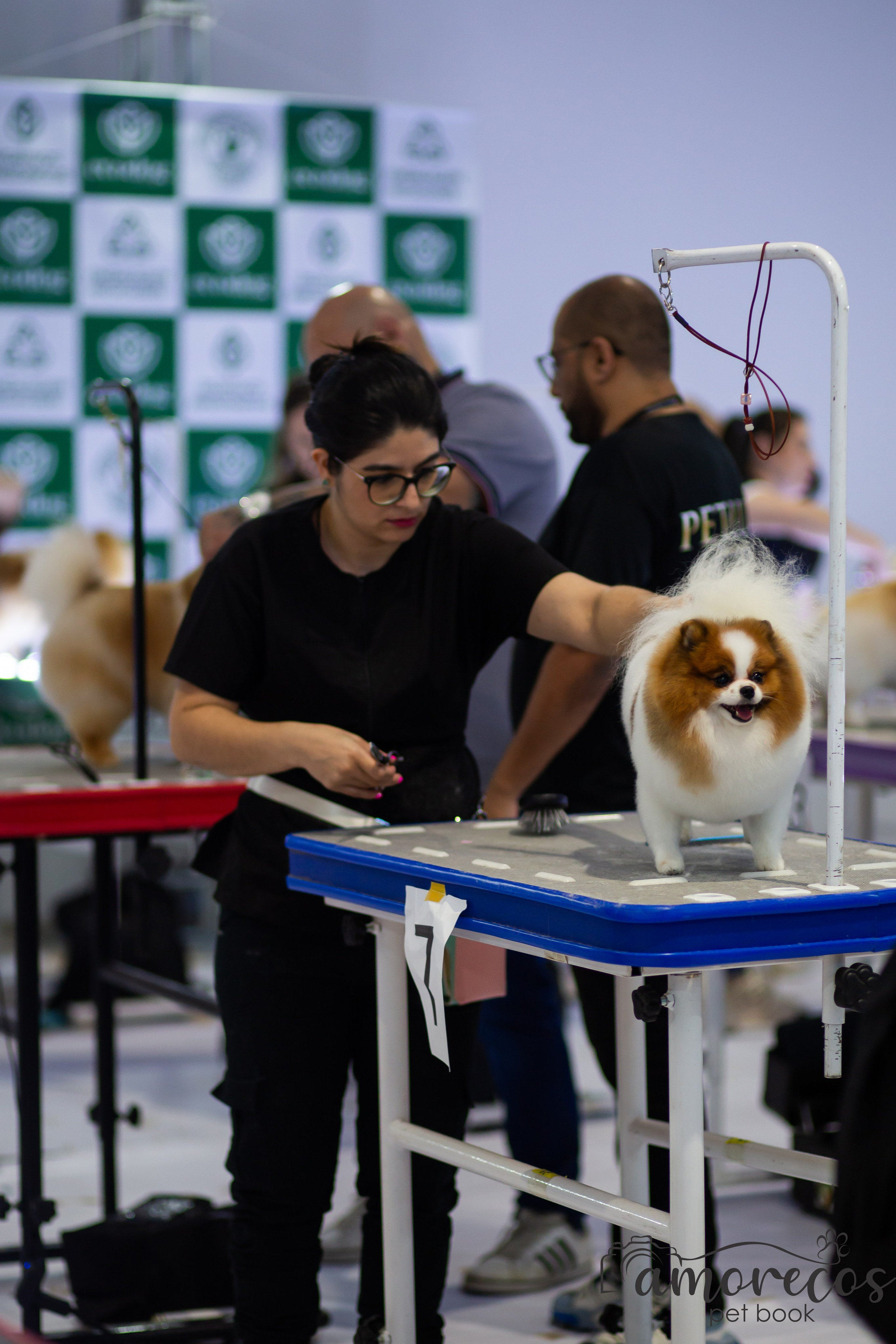 Feira Pet Sul 2025 — São José/SC. Fotografia Pet — estúdio, eventos, aniversários, ensaios temáticos
