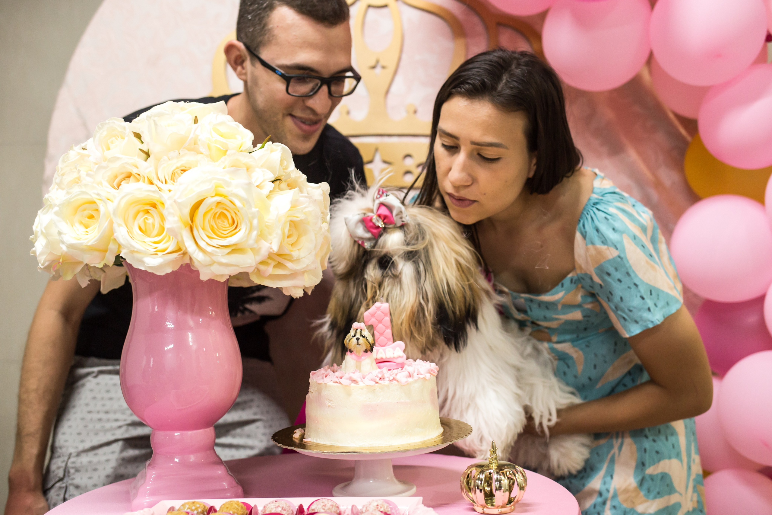Kiara — 1 aninho. Fotografia Pet — estúdio, eventos, aniversários, ensaios temáticos