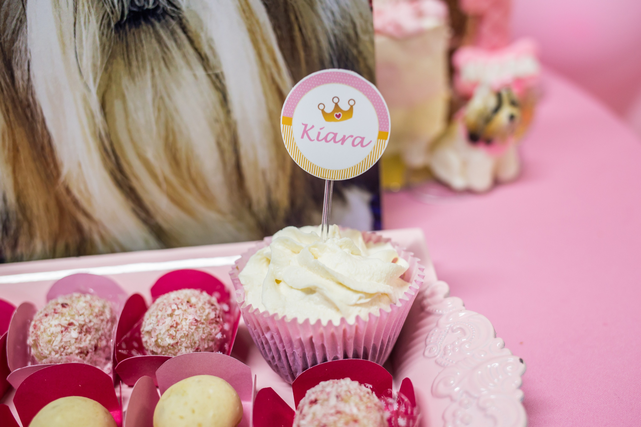 Kiara — 1 aninho. Fotografia Pet — estúdio, eventos, aniversários, ensaios temáticos