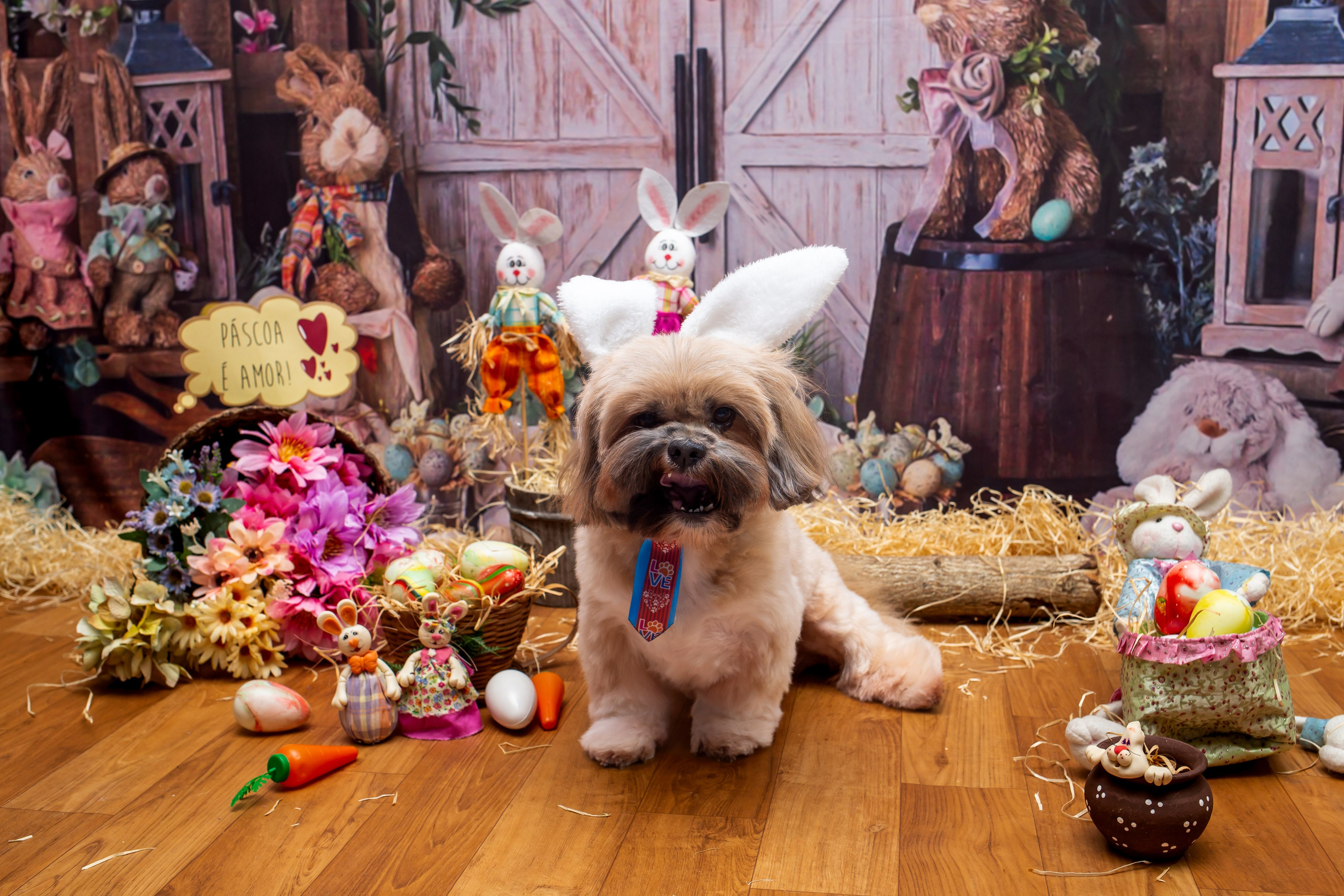 2023 — A doce Páscoa dos Pets. Fotografia Pet — estúdio, eventos, aniversários, ensaios temáticos