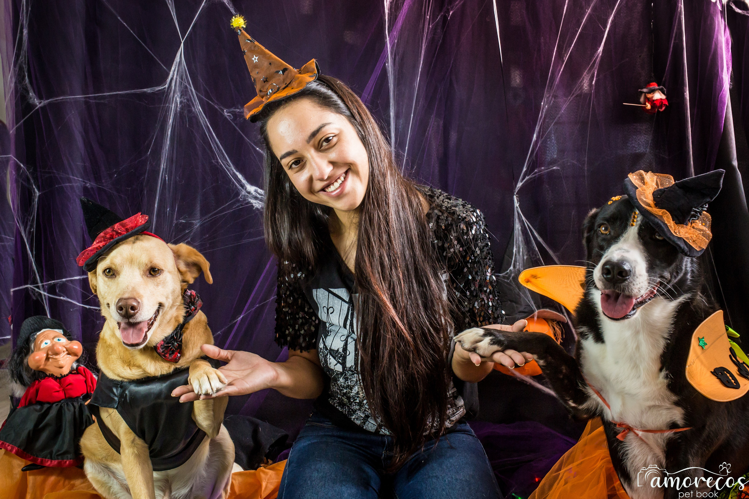 Hallowen — 2020 Doces ou travessuras. Fotografia Pet — estúdio, eventos, aniversários, ensaios temáticos