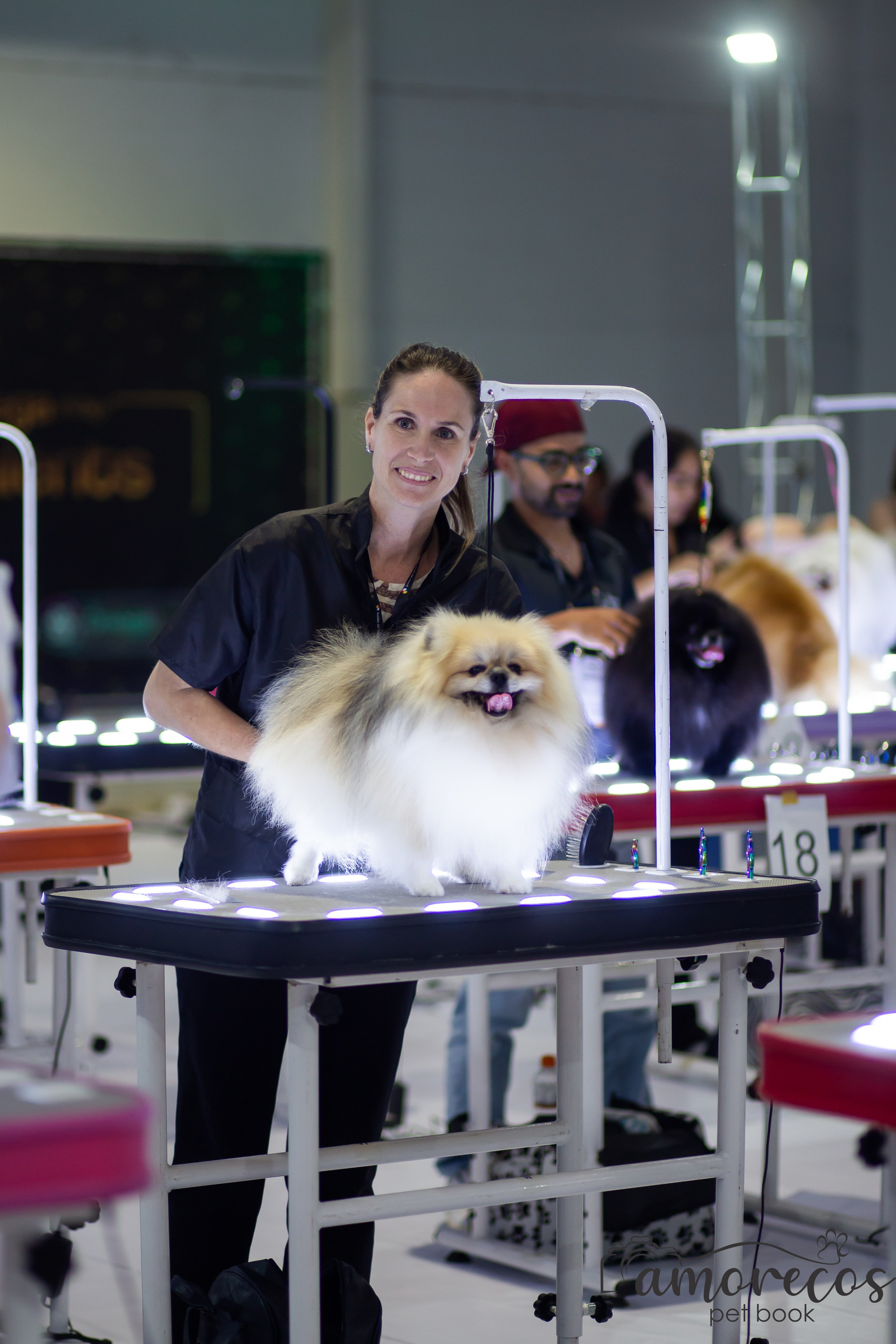 Feira Pet Sul 2025 — São José/SC. Fotografia Pet — estúdio, eventos, aniversários, ensaios temáticos