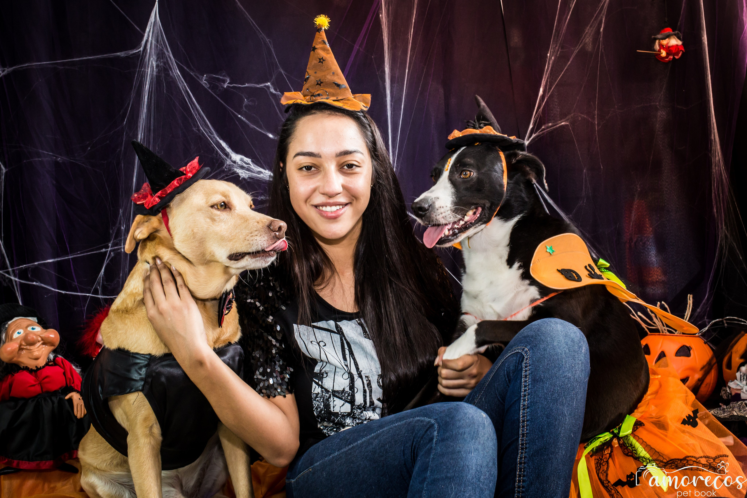 Hallowen — 2020 Doces ou travessuras. Fotografia Pet — estúdio, eventos, aniversários, ensaios temáticos