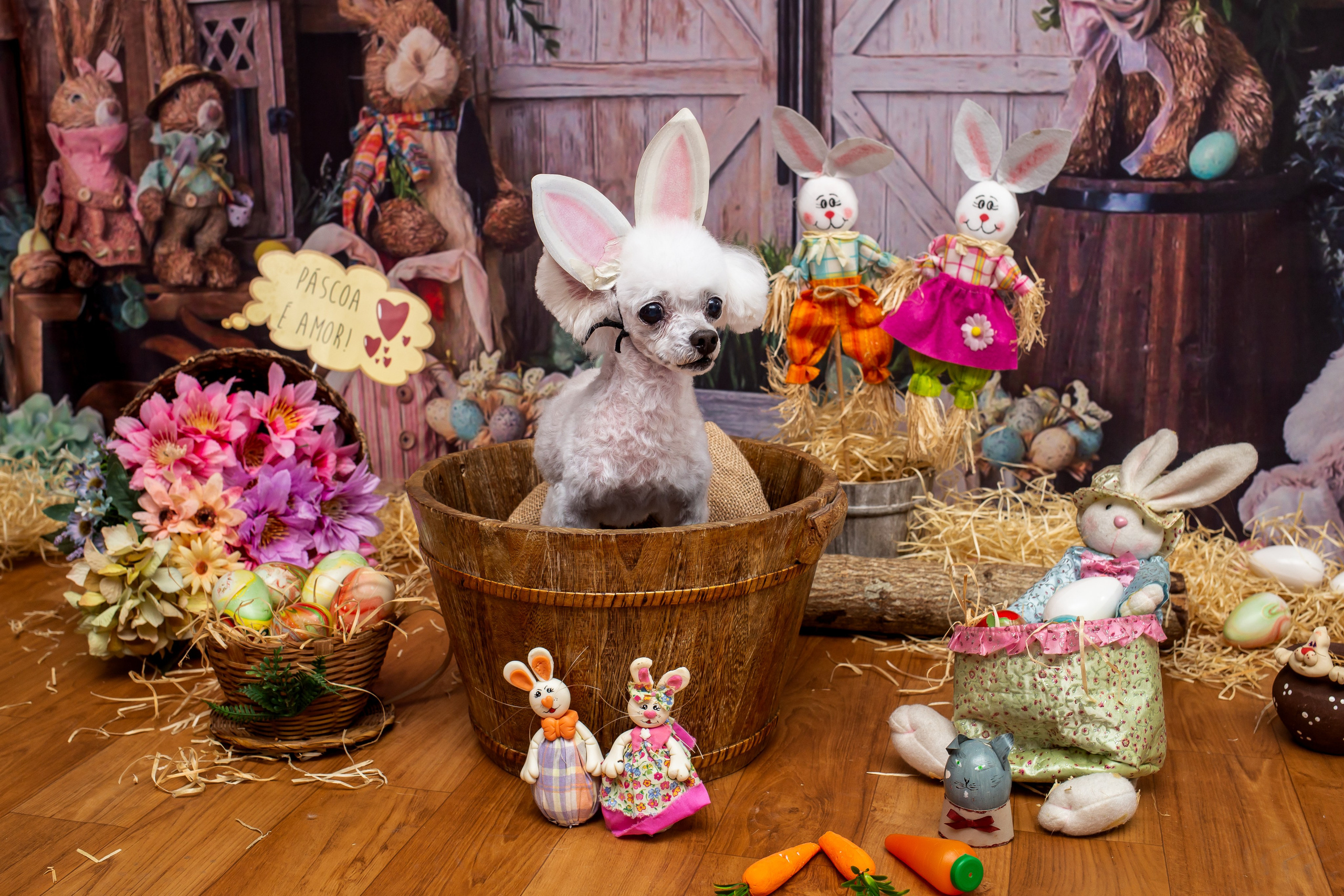 2023 — A doce Páscoa dos Pets. Fotografia Pet — estúdio, eventos, aniversários, ensaios temáticos