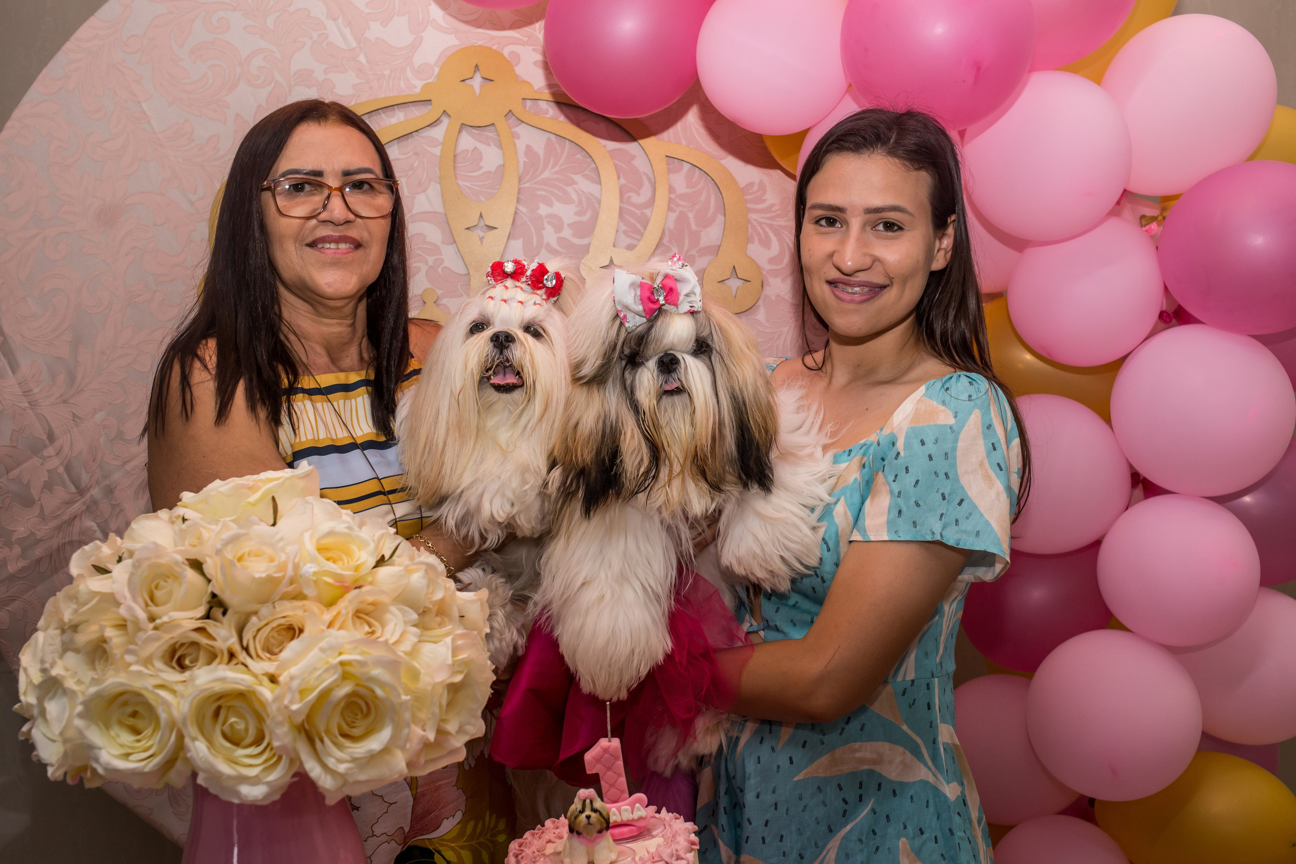 Kiara — 1 aninho. Fotografia Pet — estúdio, eventos, aniversários, ensaios temáticos