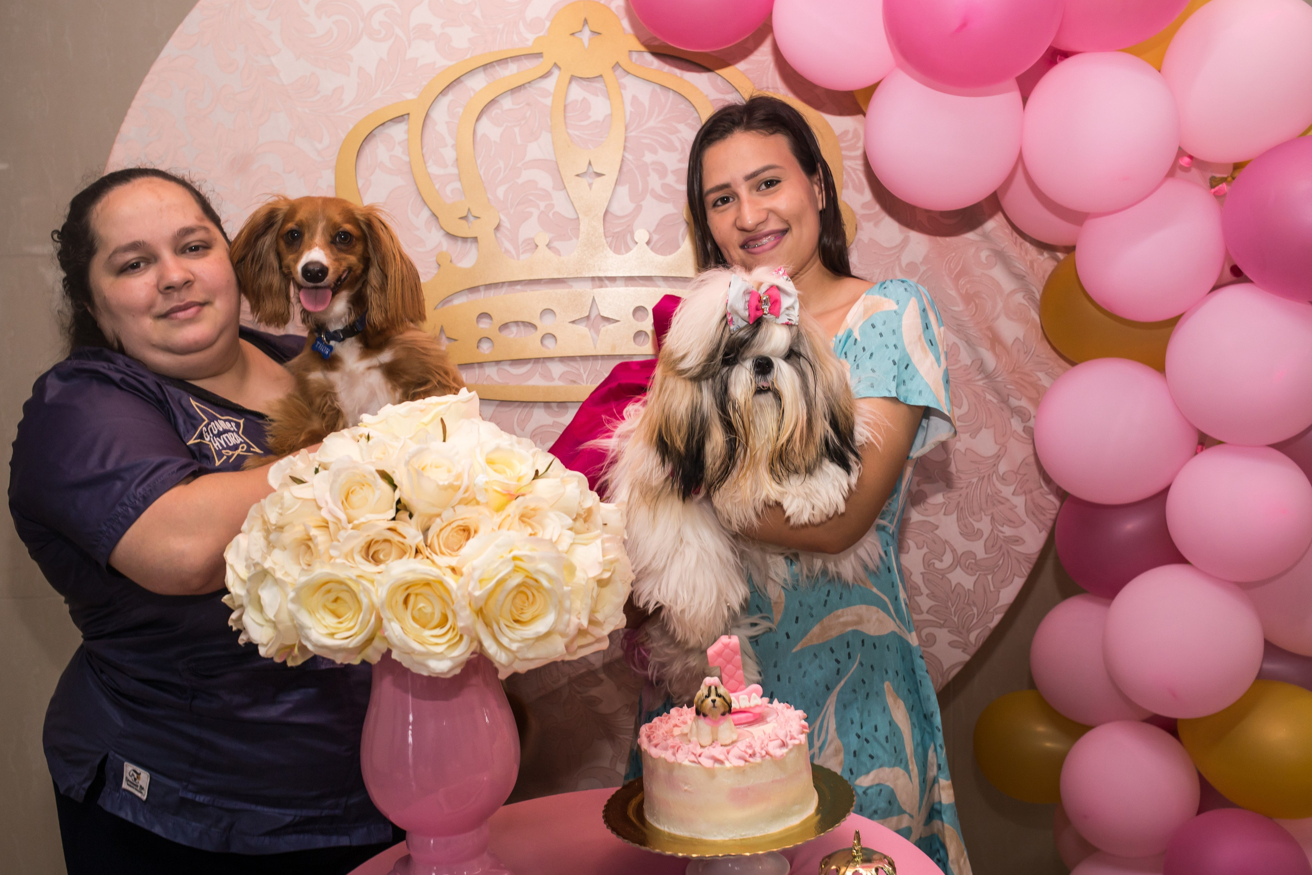 Kiara — 1 aninho. Fotografia Pet — estúdio, eventos, aniversários, ensaios temáticos