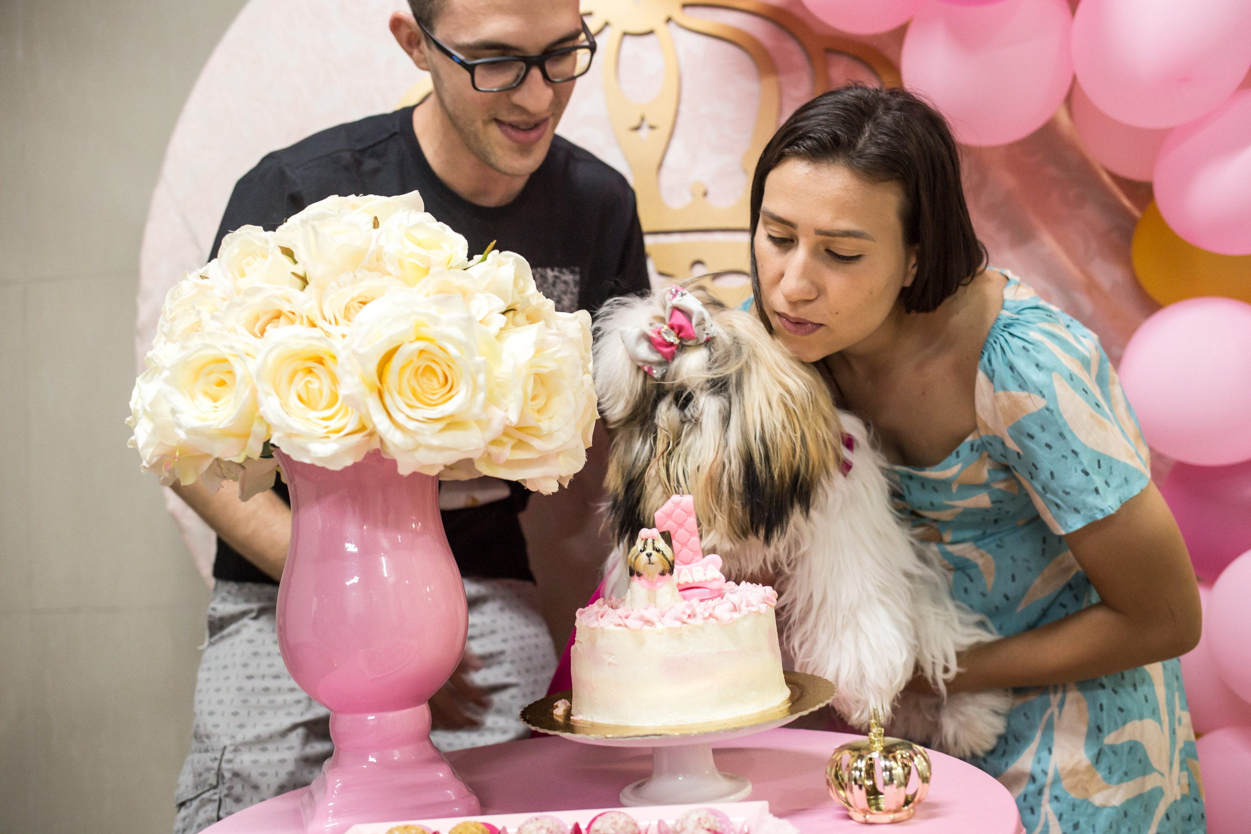 Kiara — 1 aninho. Fotografia Pet — estúdio, eventos, aniversários, ensaios temáticos