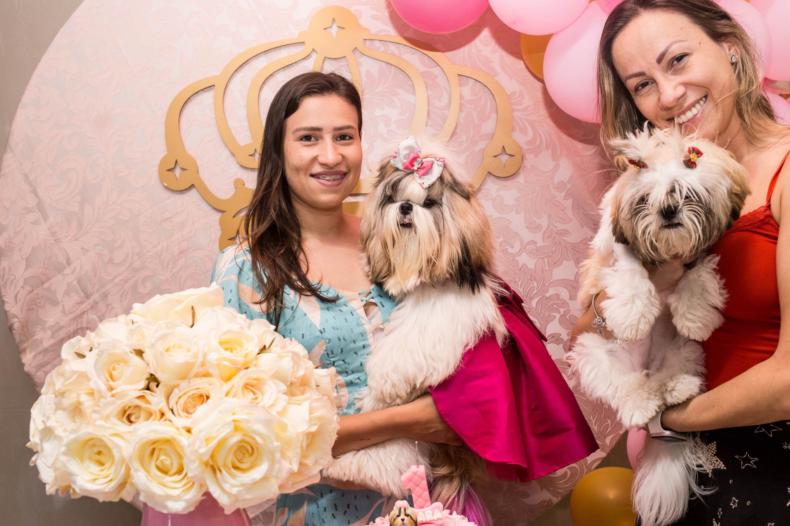 Kiara — 1 aninho. Fotografia Pet — estúdio, eventos, aniversários, ensaios temáticos
