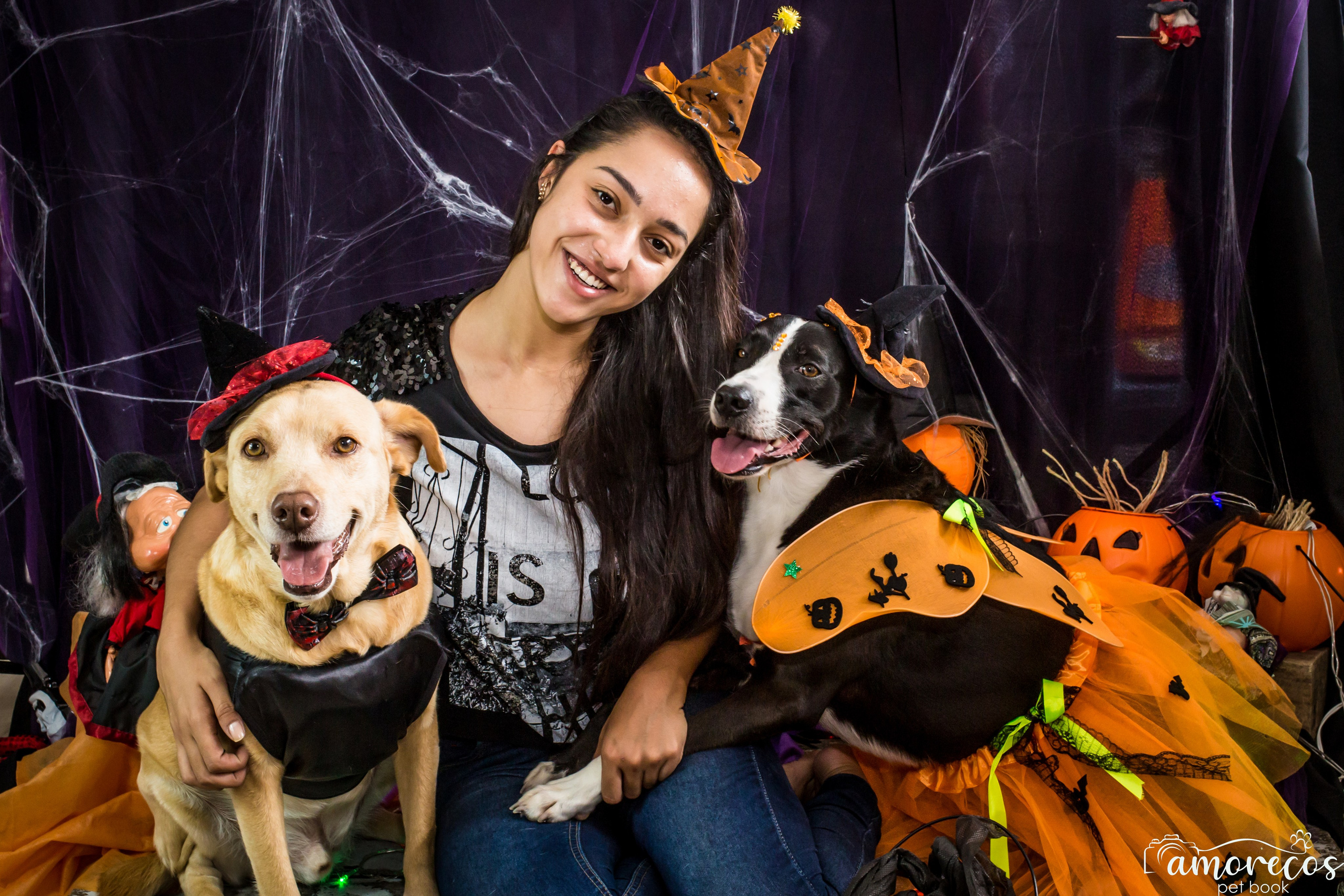 Hallowen — 2020 Doces ou travessuras. Fotografia Pet — estúdio, eventos, aniversários, ensaios temáticos