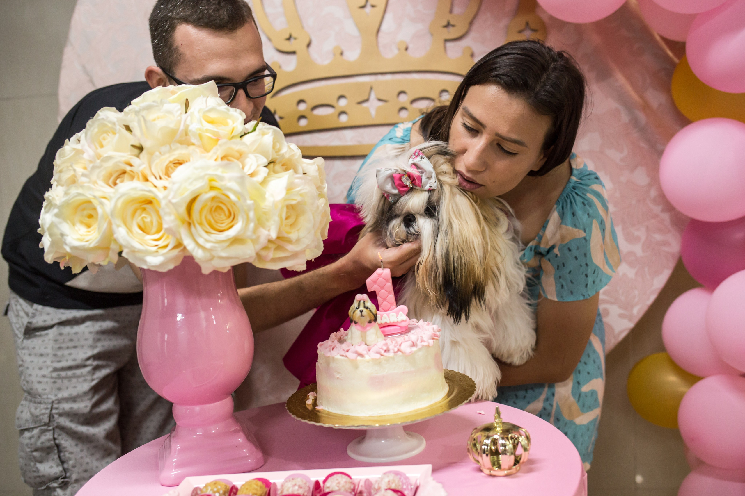 Kiara — 1 aninho. Fotografia Pet — estúdio, eventos, aniversários, ensaios temáticos