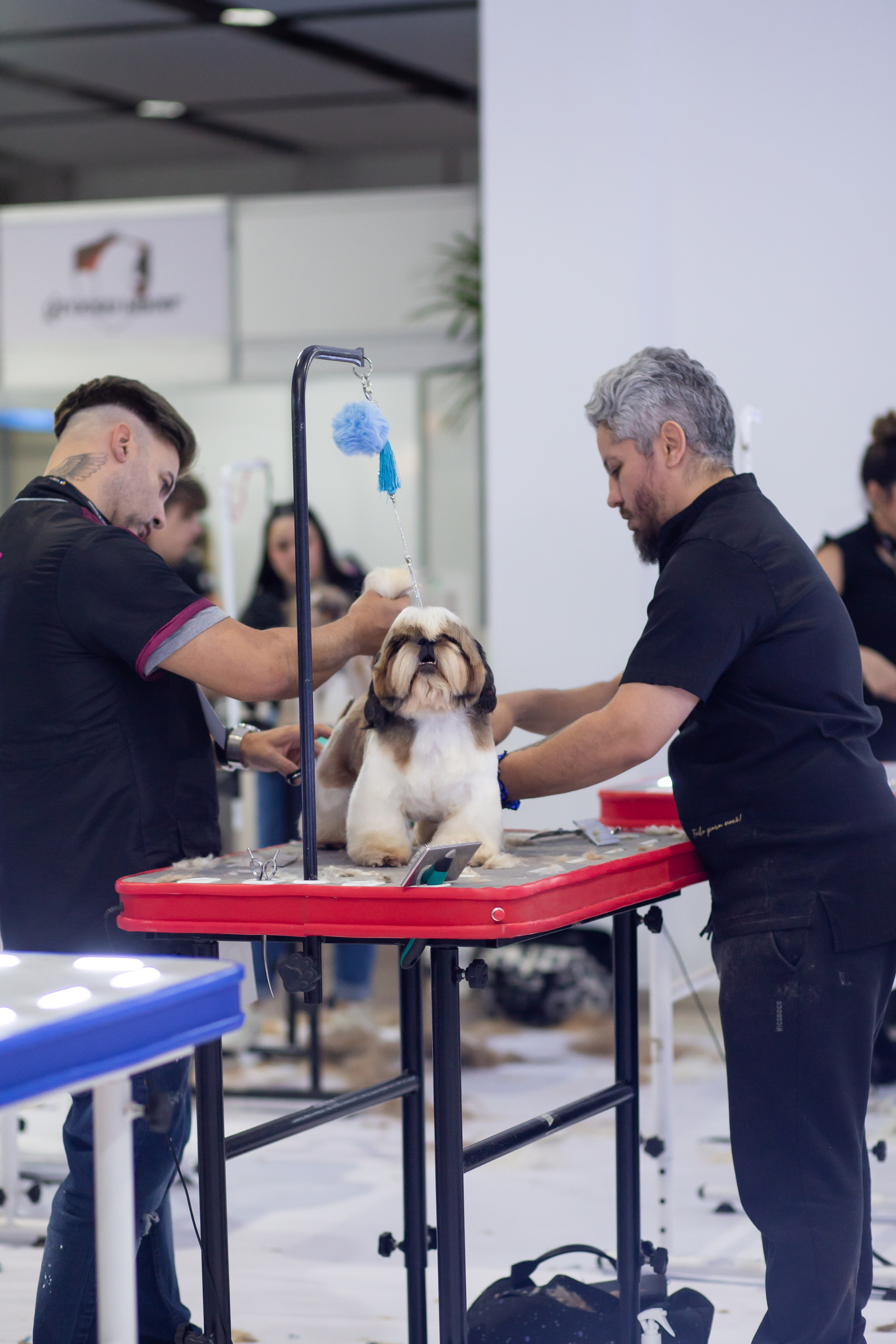 Feira Pet Sul 2025 — São José/SC. Fotografia Pet — estúdio, eventos, aniversários, ensaios temáticos