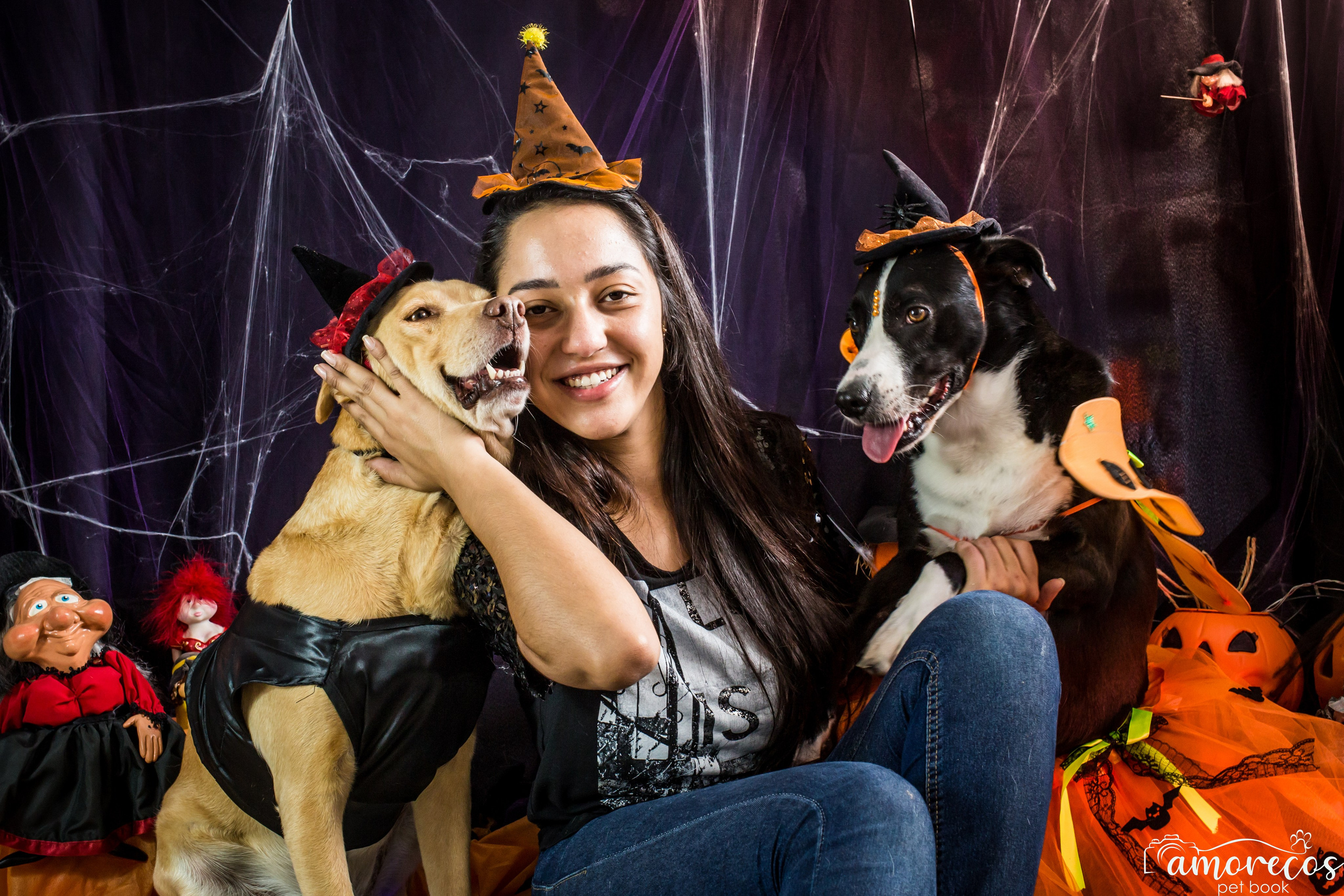 Hallowen — 2020 Doces ou travessuras. Fotografia Pet — estúdio, eventos, aniversários, ensaios temáticos