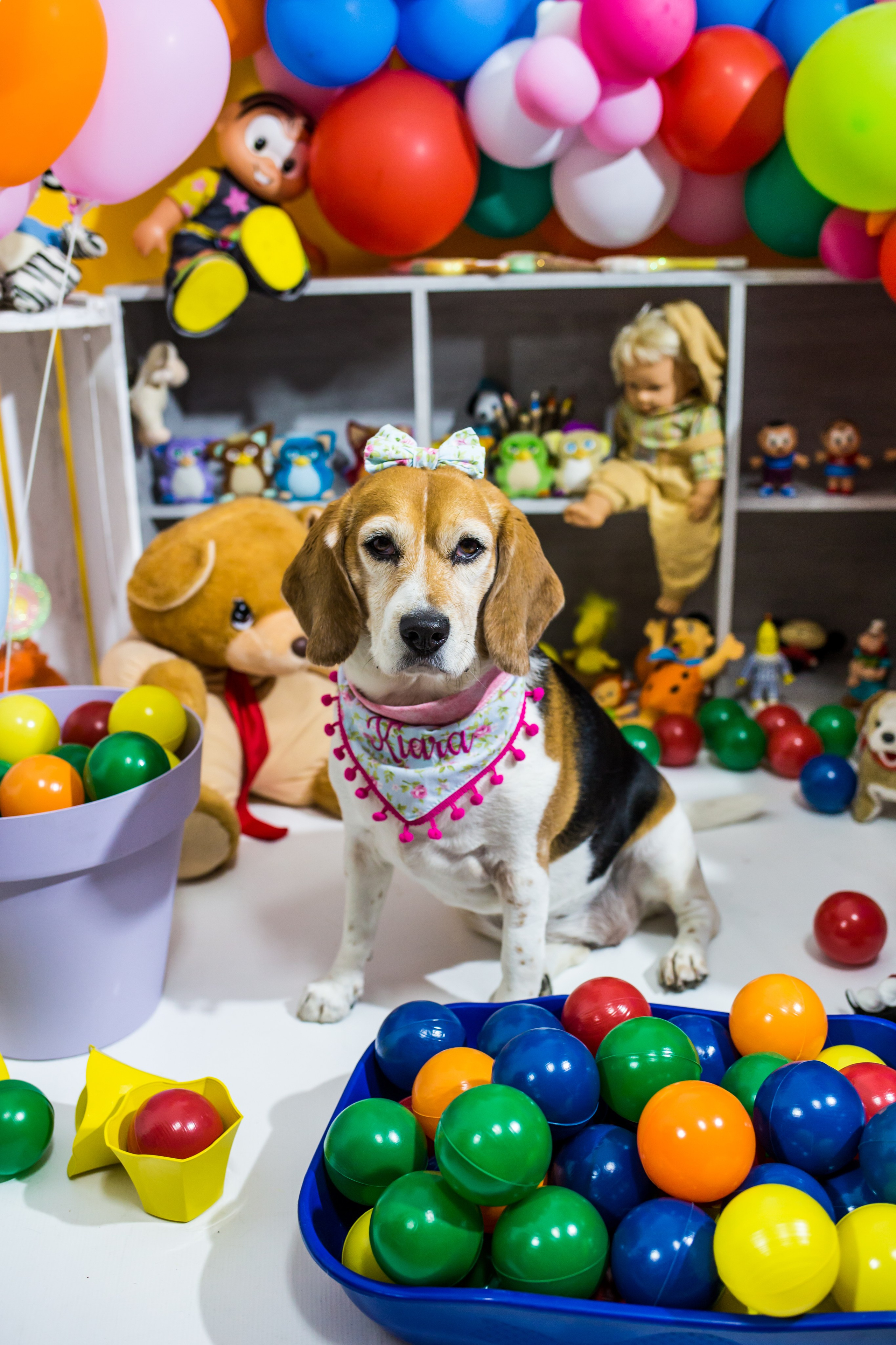 Dia das crianças — 2021. Fotografia Pet — estúdio, eventos, aniversários, ensaios temáticos