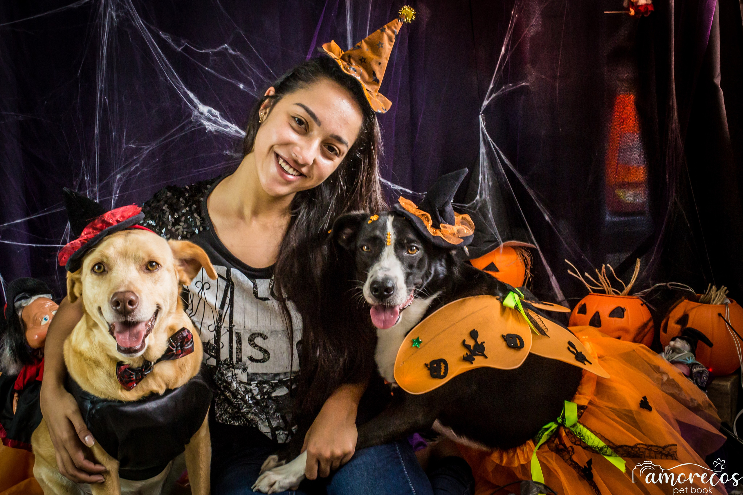 Hallowen — 2020 Doces ou travessuras. Fotografia Pet — estúdio, eventos, aniversários, ensaios temáticos