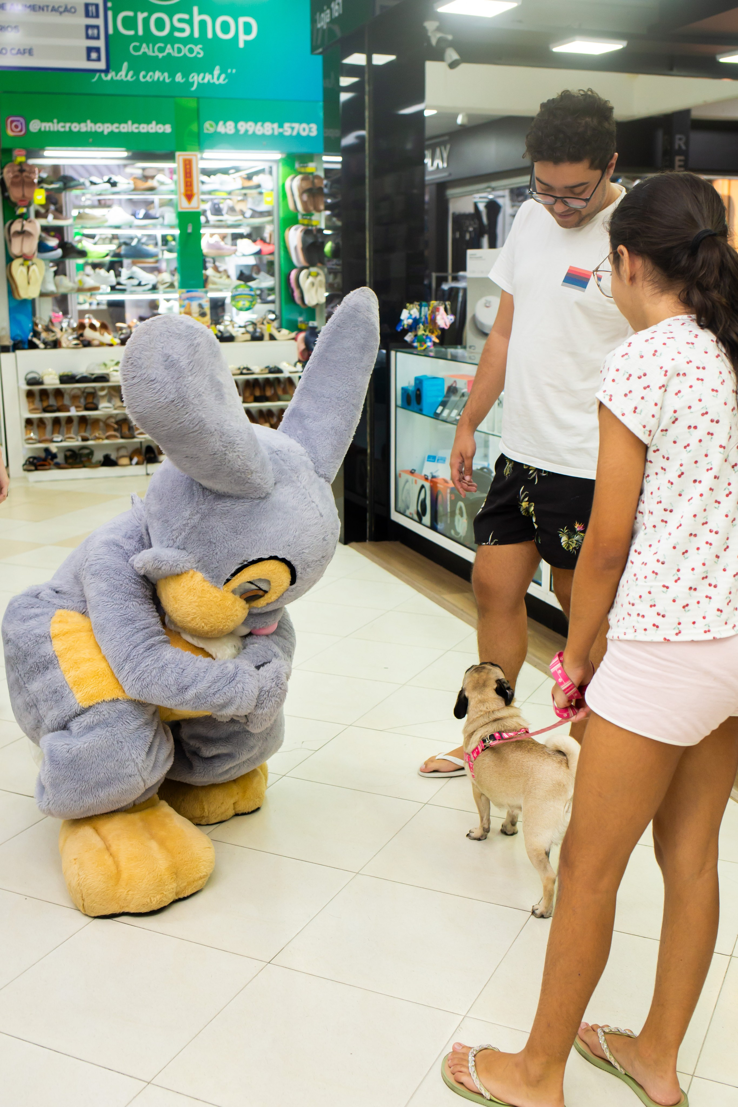 Páscoa 2026 — Camelão/São José. Fotografia Pet — estúdio, eventos, aniversários, ensaios temáticos