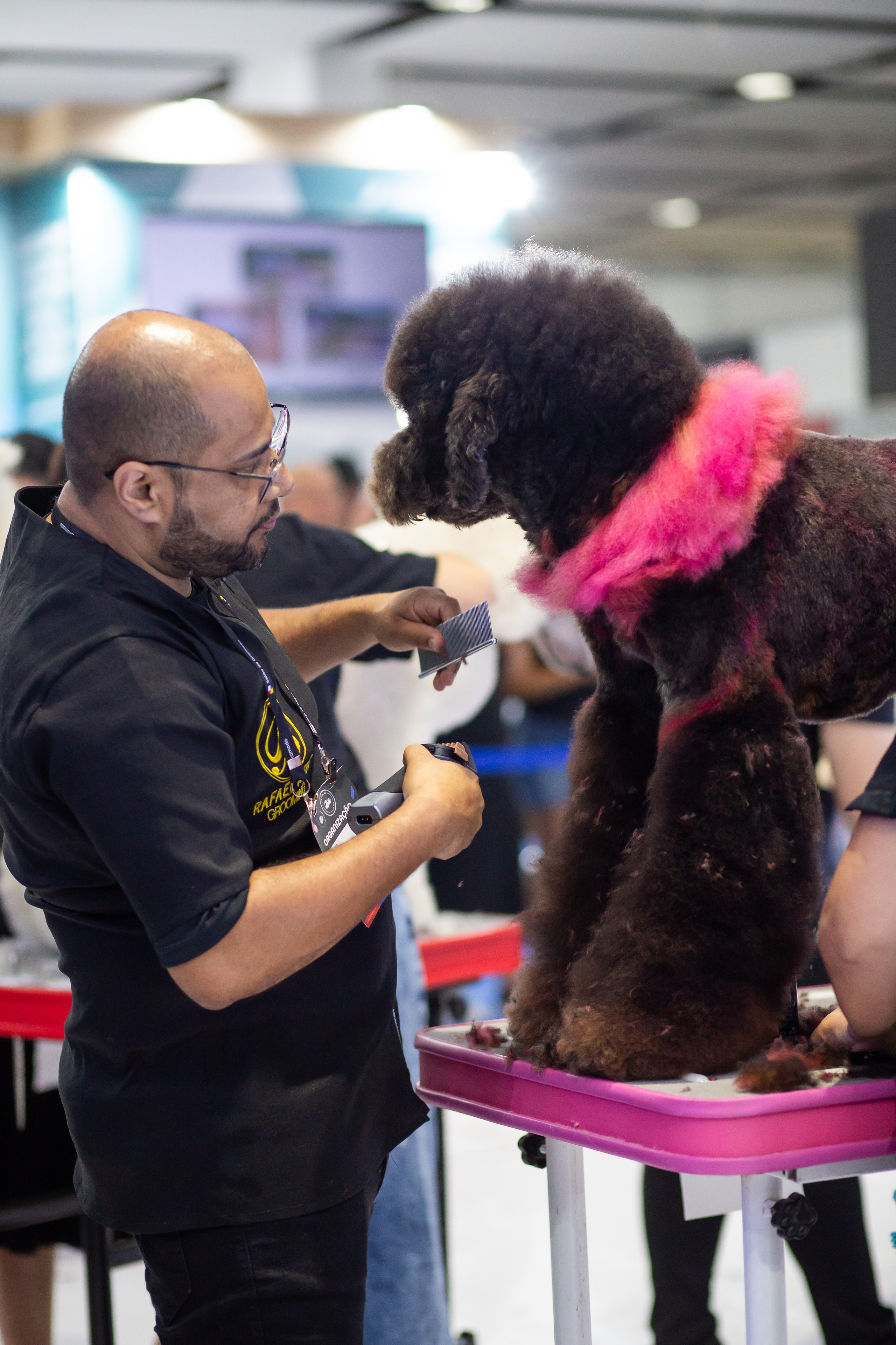 Feira Pet Sul 2025 — São José/SC. Fotografia Pet — estúdio, eventos, aniversários, ensaios temáticos