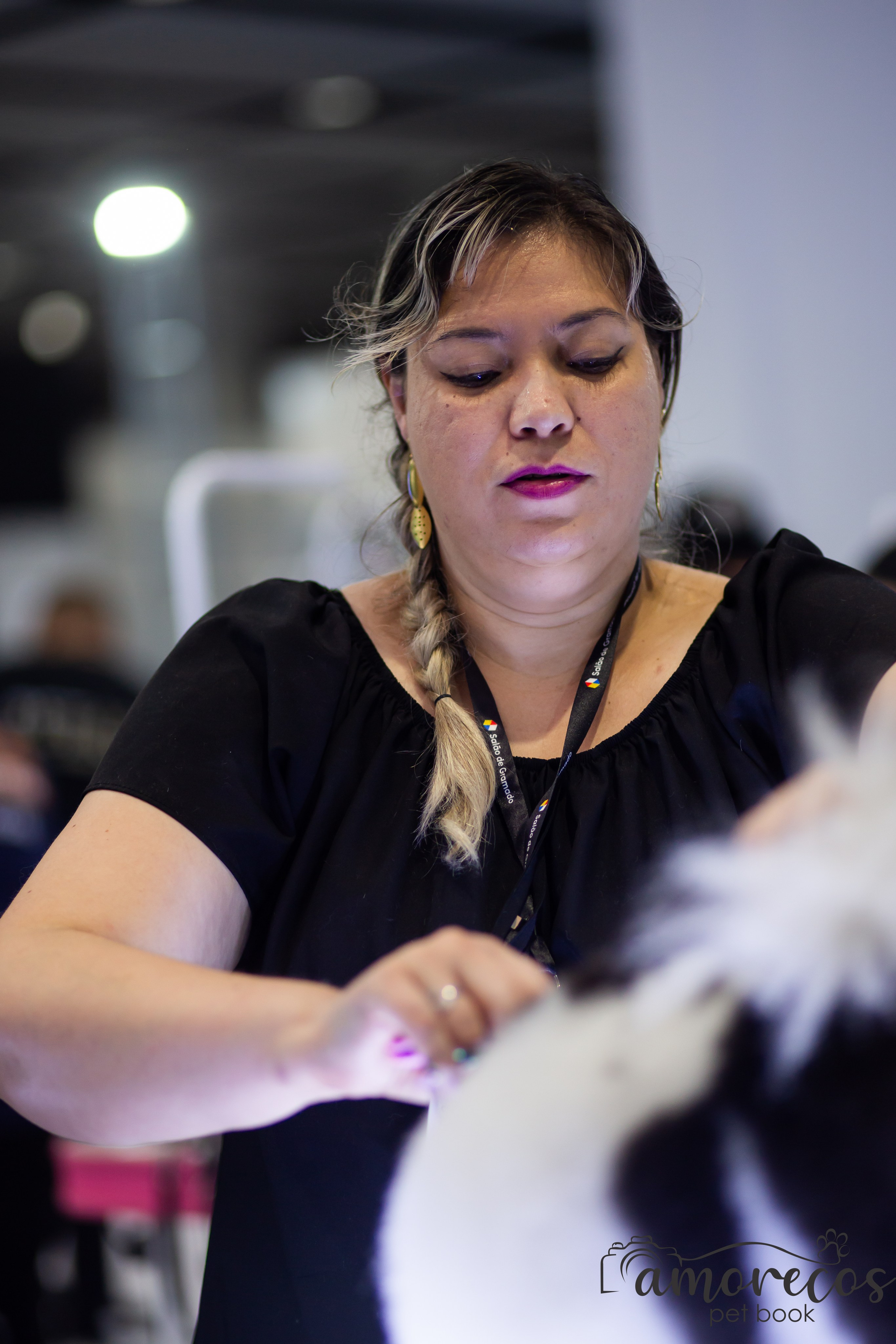 Feira Pet Sul 2025 — São José/SC. Fotografia Pet — estúdio, eventos, aniversários, ensaios temáticos