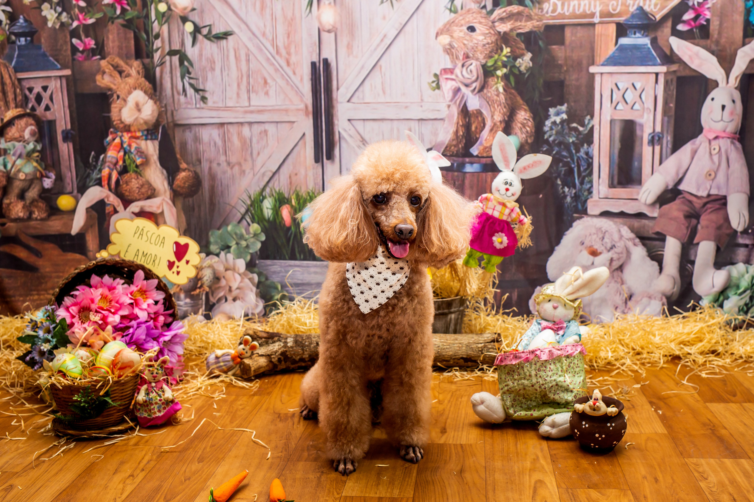 2023 — A doce Páscoa dos Pets. Fotografia Pet — estúdio, eventos, aniversários, ensaios temáticos