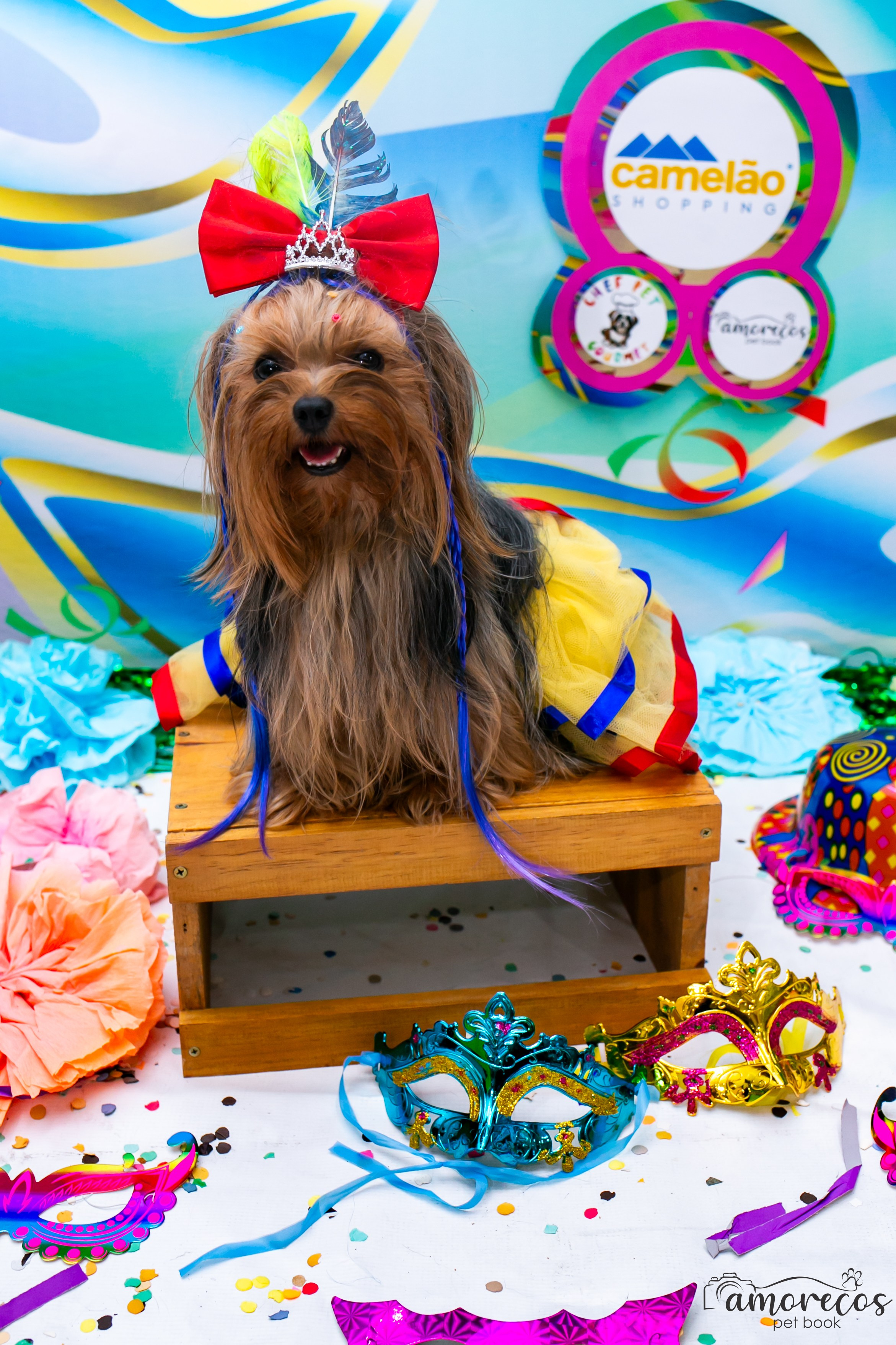Carnaval 2026 — Camelão. Fotografia Pet — estúdio, eventos, aniversários, ensaios temáticos
