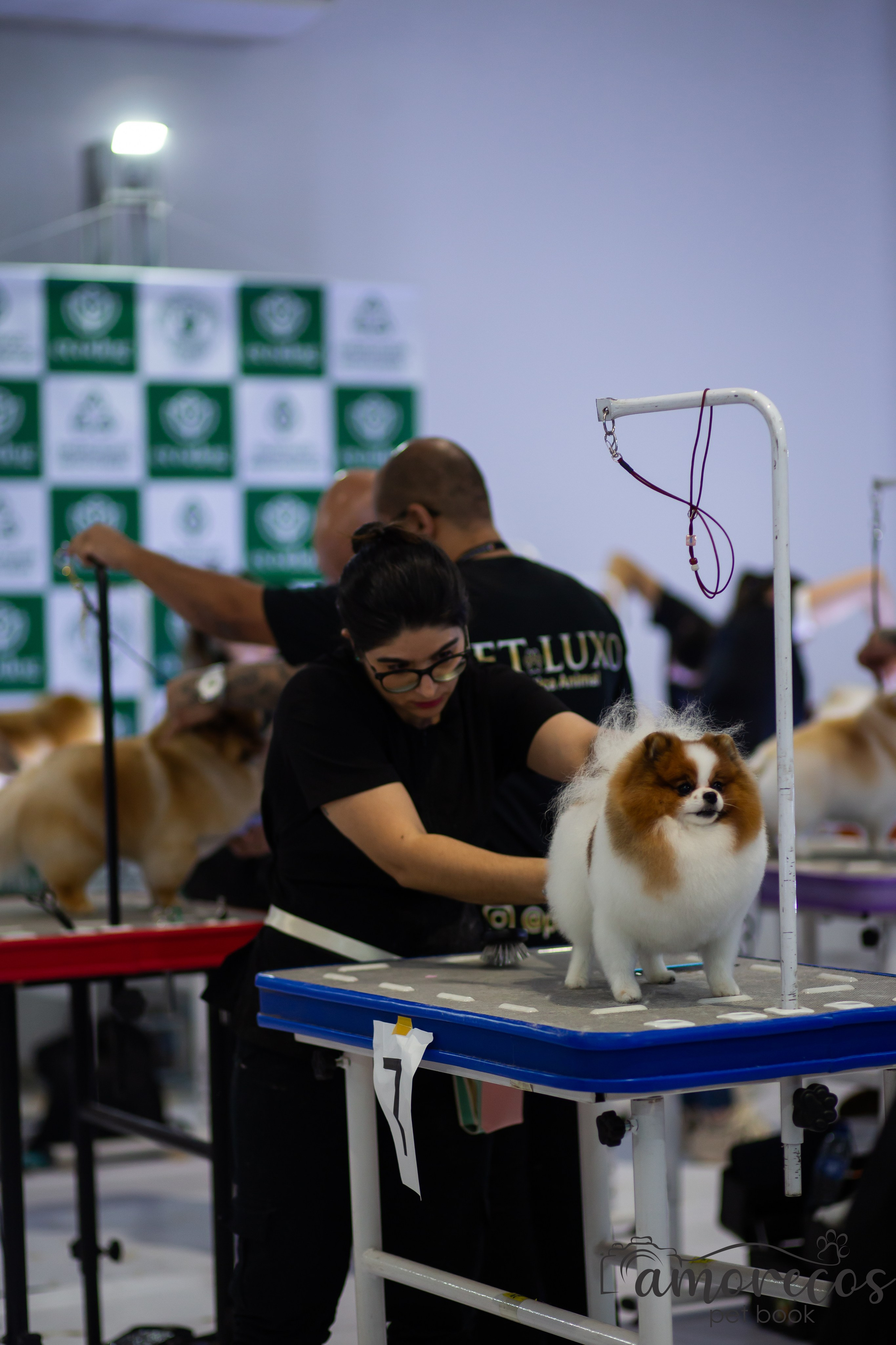 Feira Pet Sul 2025 — São José/SC. Fotografia Pet — estúdio, eventos, aniversários, ensaios temáticos