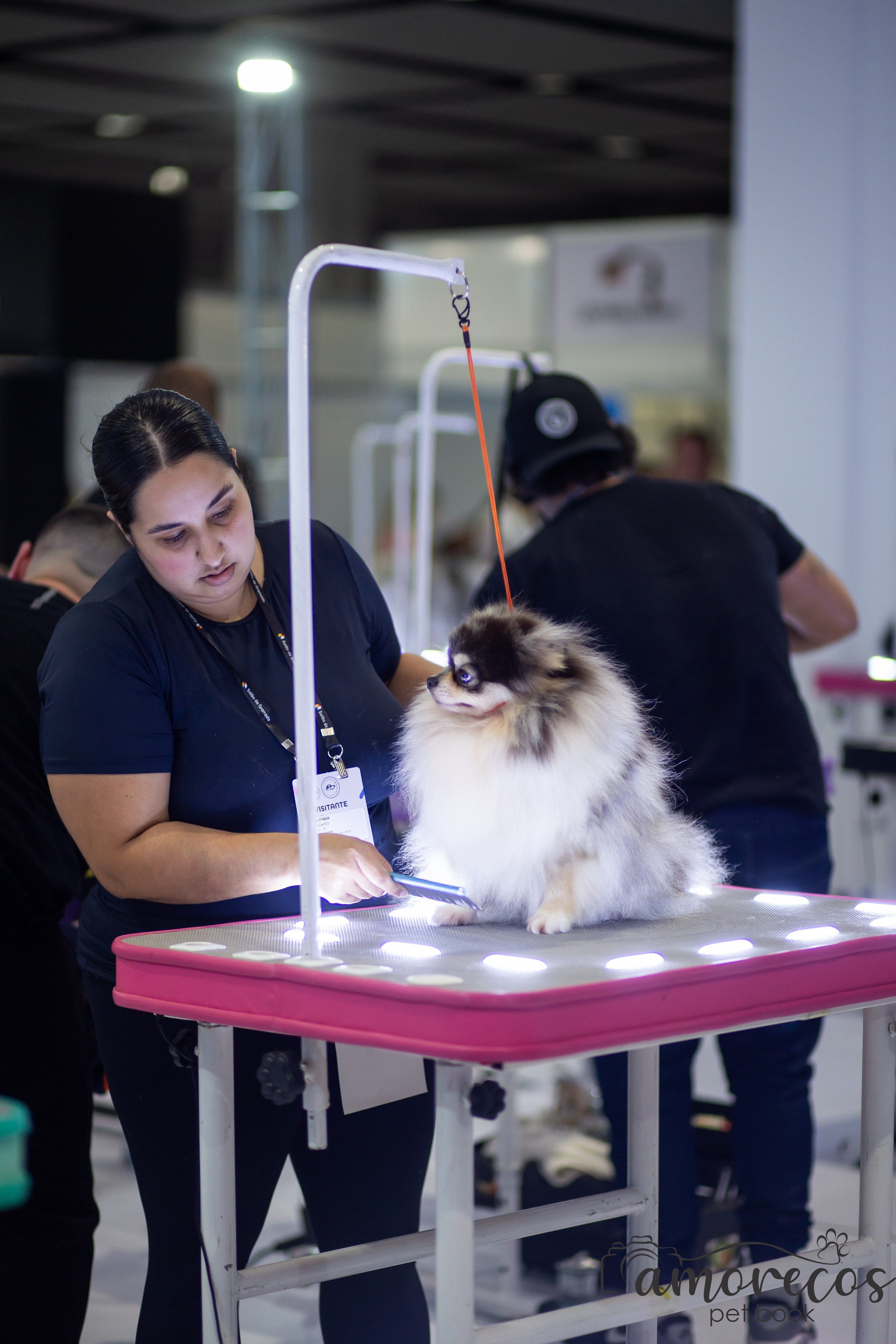 Feira Pet Sul 2025 — São José/SC. Fotografia Pet — estúdio, eventos, aniversários, ensaios temáticos