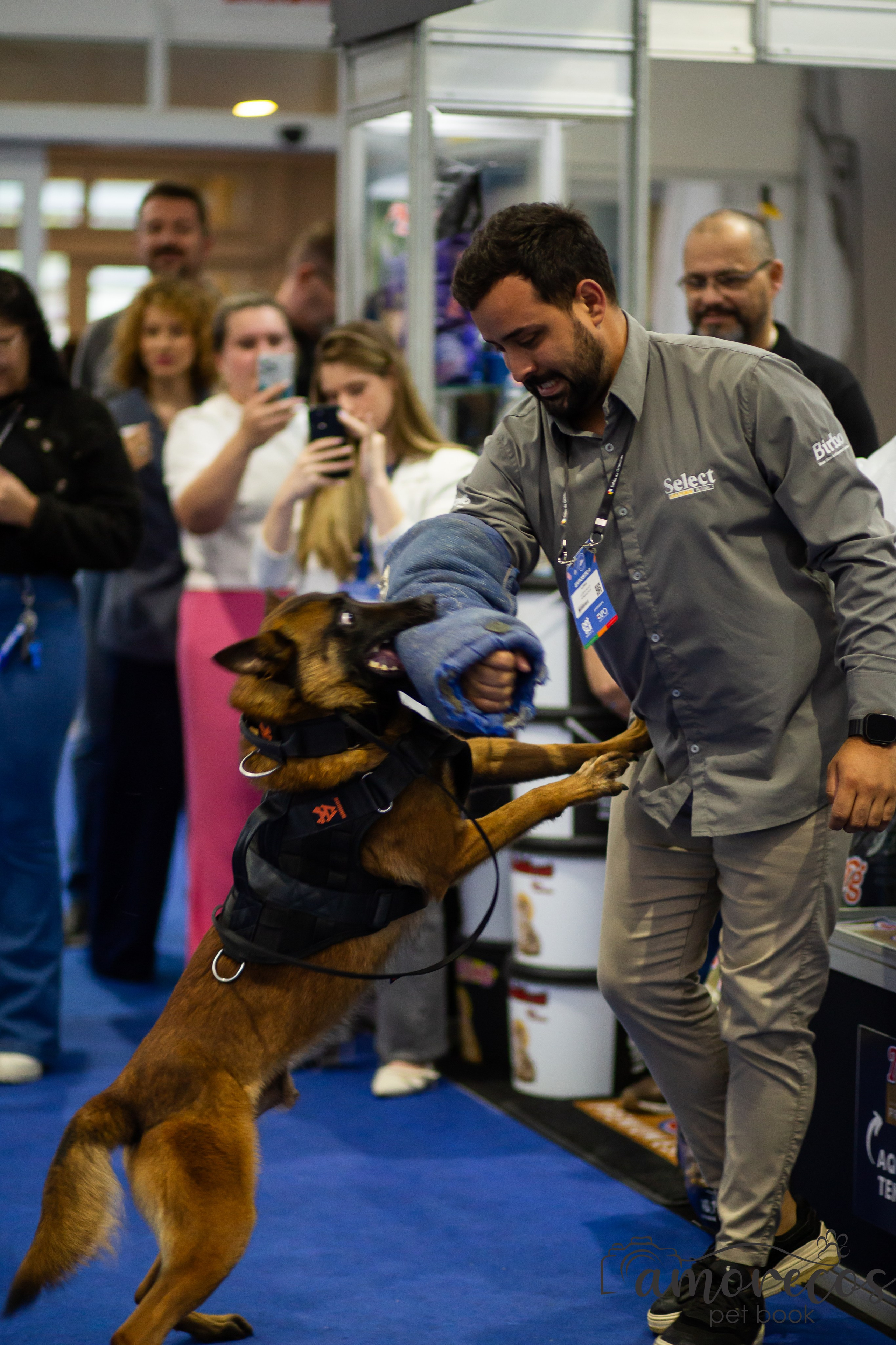 Feira Pet Sul 2025 — São José/SC. Fotografia Pet — estúdio, eventos, aniversários, ensaios temáticos