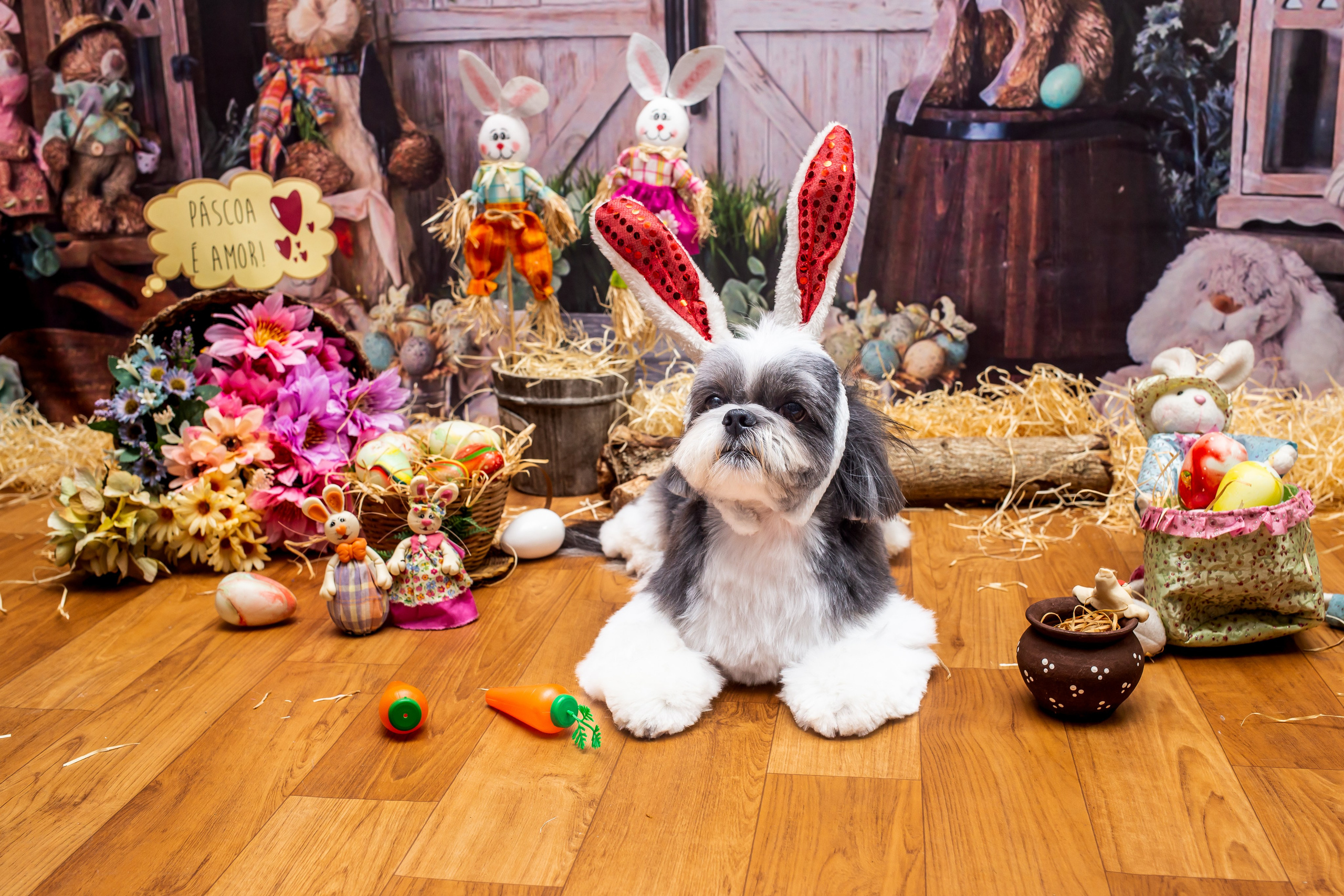 2023 — A doce Páscoa dos Pets. Fotografia Pet — estúdio, eventos, aniversários, ensaios temáticos