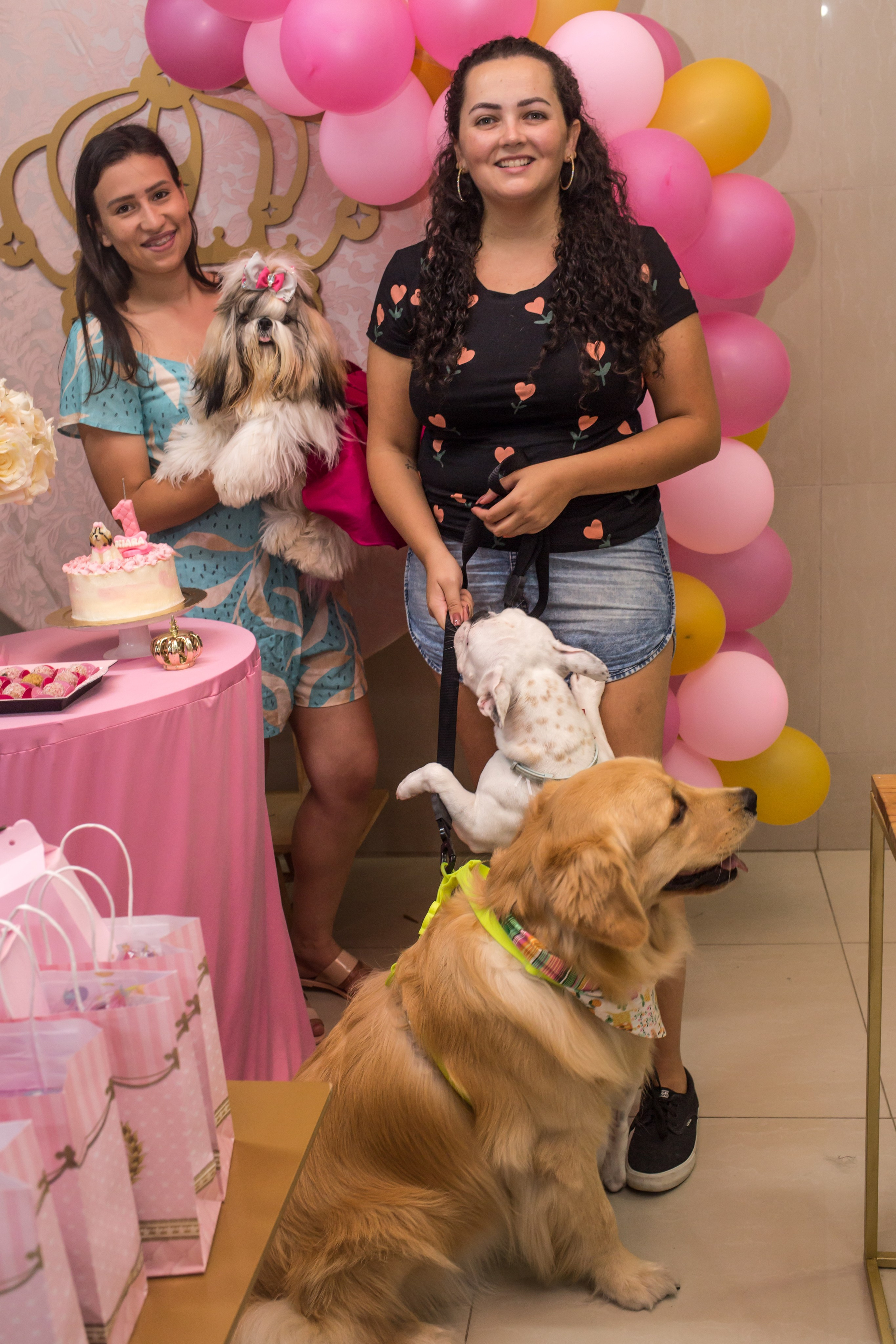 Kiara — 1 aninho. Fotografia Pet — estúdio, eventos, aniversários, ensaios temáticos